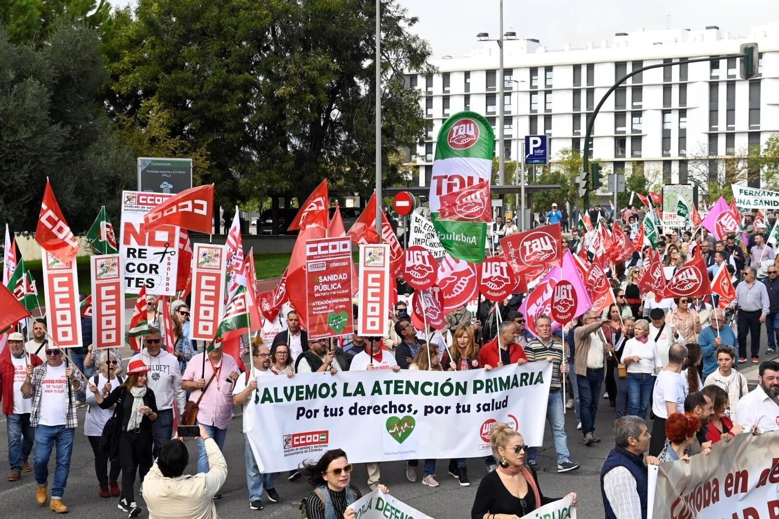 La manifestación en defensa de la sanidad pública en Córdoba, en imágenes