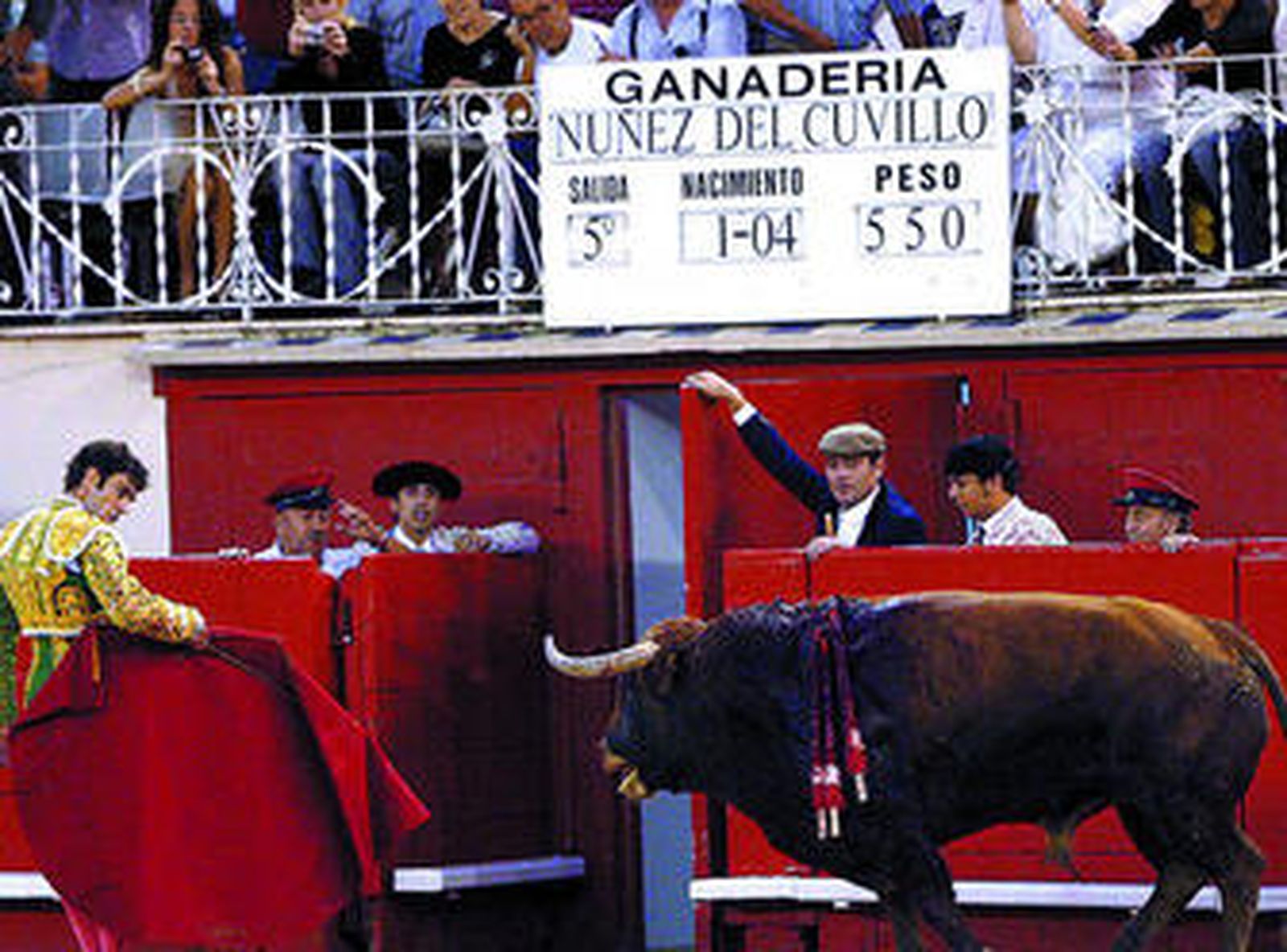 "Idílico" de Núñez del Cuvillo, único toro indultado en una plaza española de primera, Barcelona, en 2008.