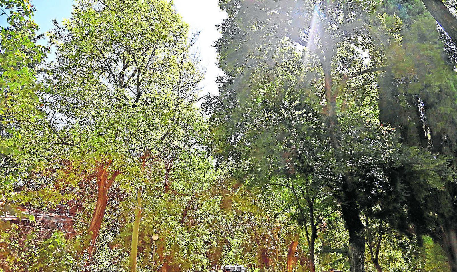 Paseo principal por la entrada al Zoo de la calle Taxdirt.