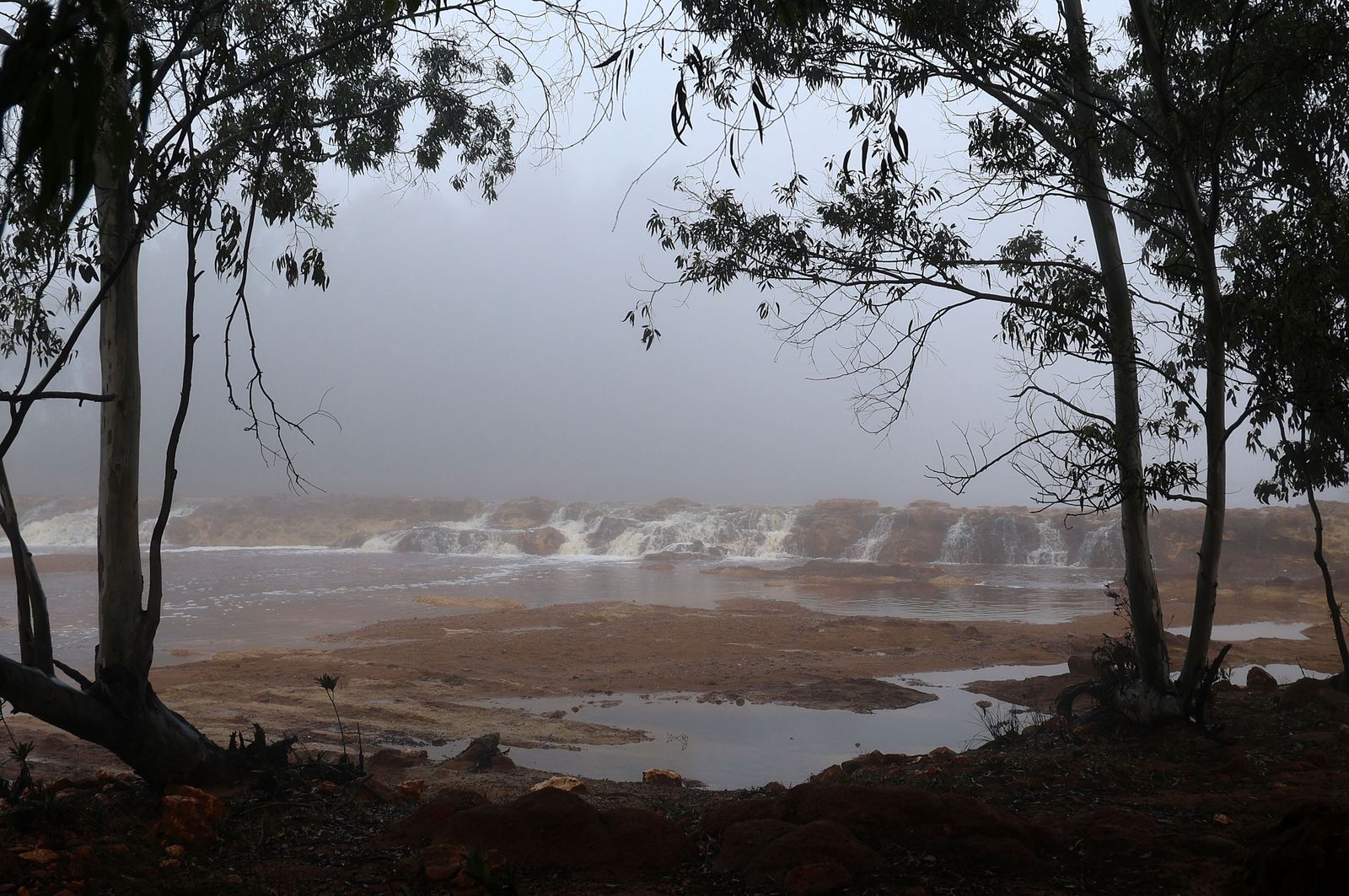Imágenes de la densa niebla con la que han amanecido varios municipios de Huelva