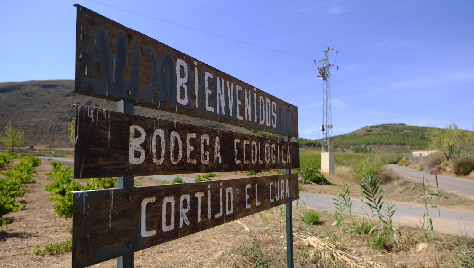 La vendimia en la Bodega Cortijo del Cura de Laujar, en imágenes