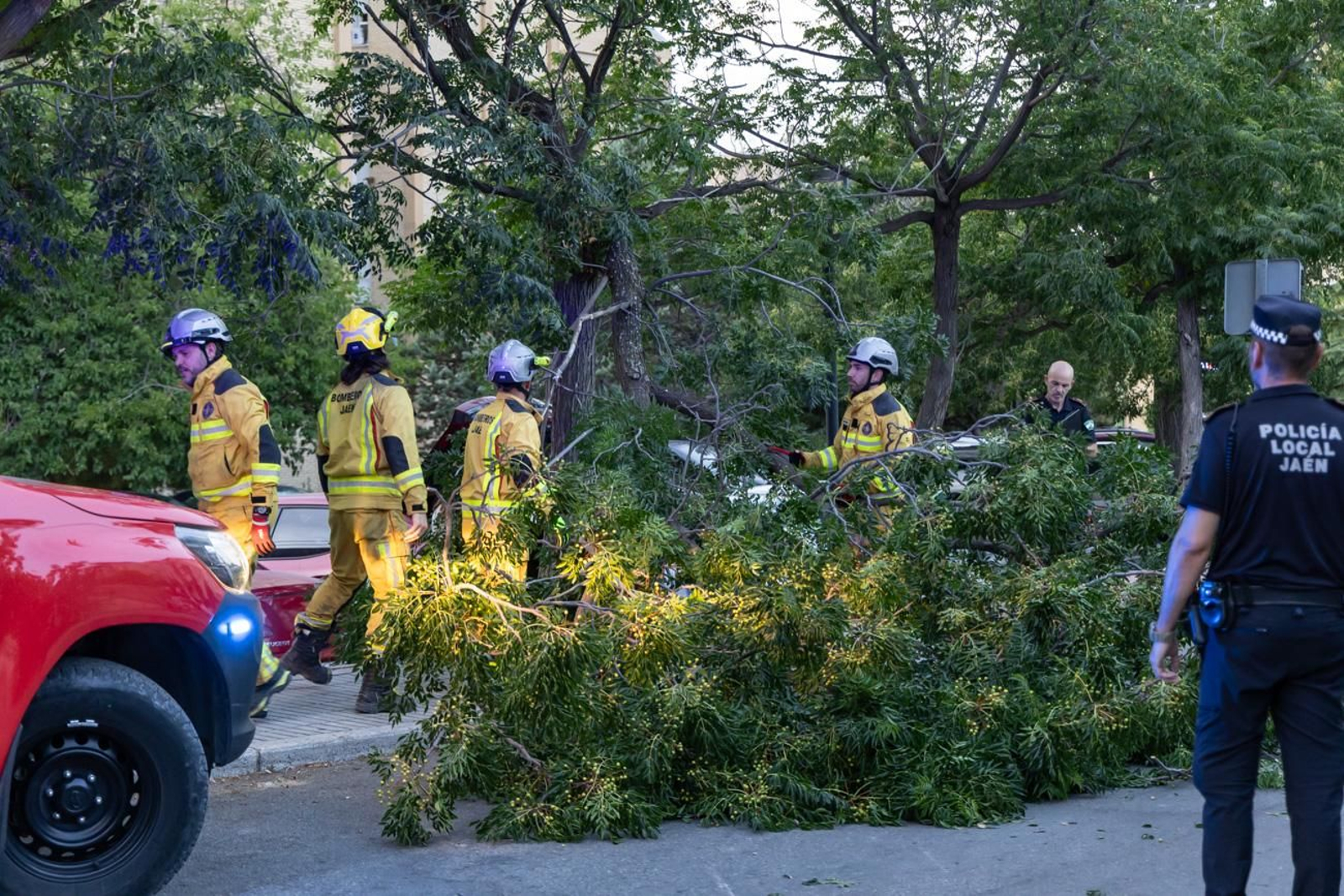 Un día junto a los bomberos de Jaén