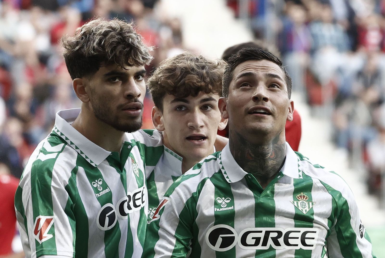 Las fotos del Osasuna - Betis