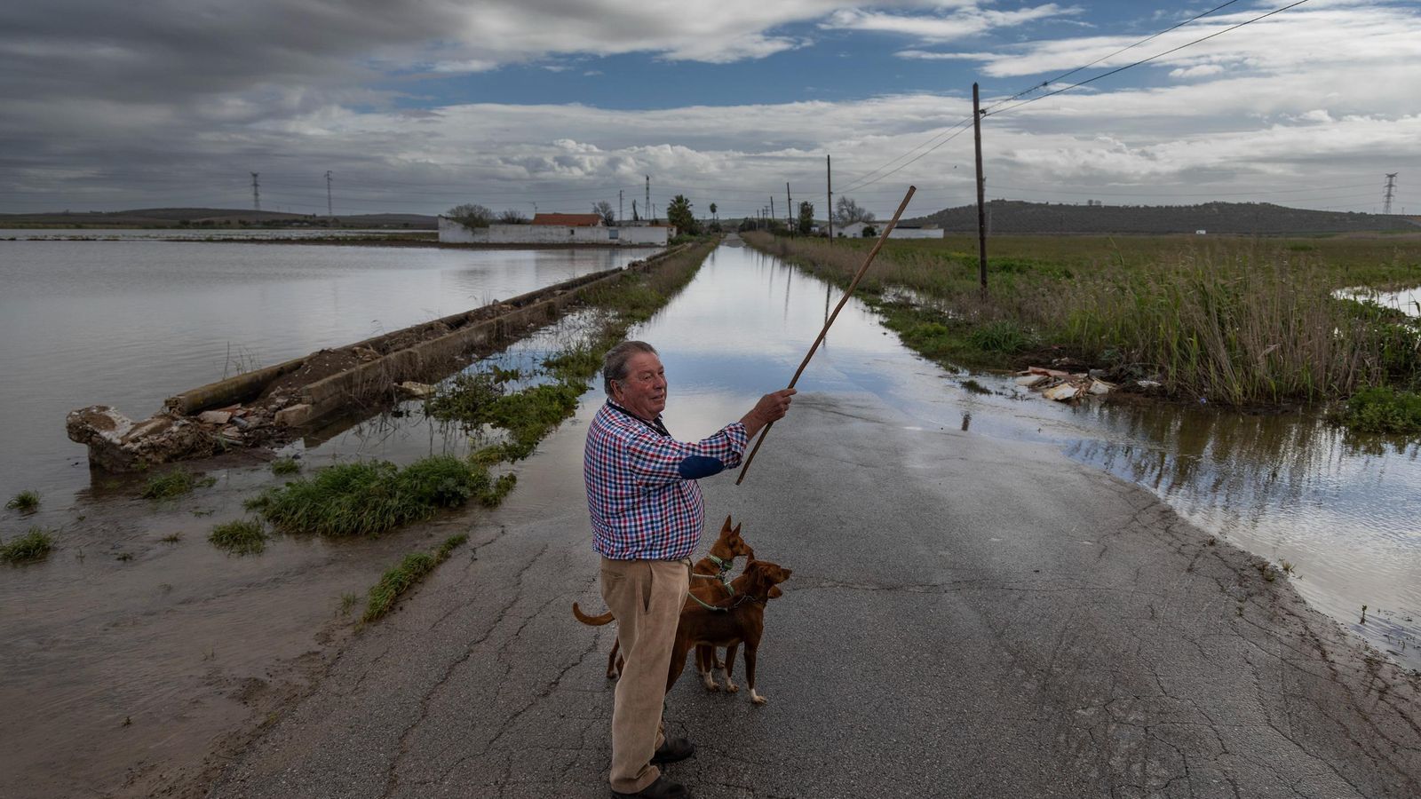 Patricio Ponce pasea a sus perros por el Palmar.