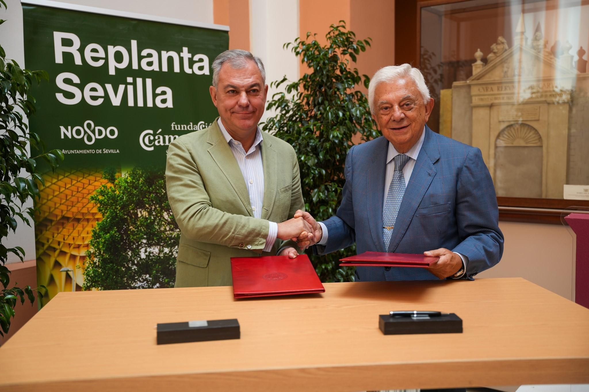 Apadrinar un árbol en Sevilla ya es posible a través de Replanta 2.0