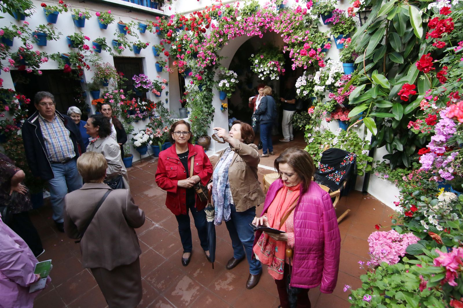 Los patios ganadores en el concurso de los Patios de Córdoba 2017
