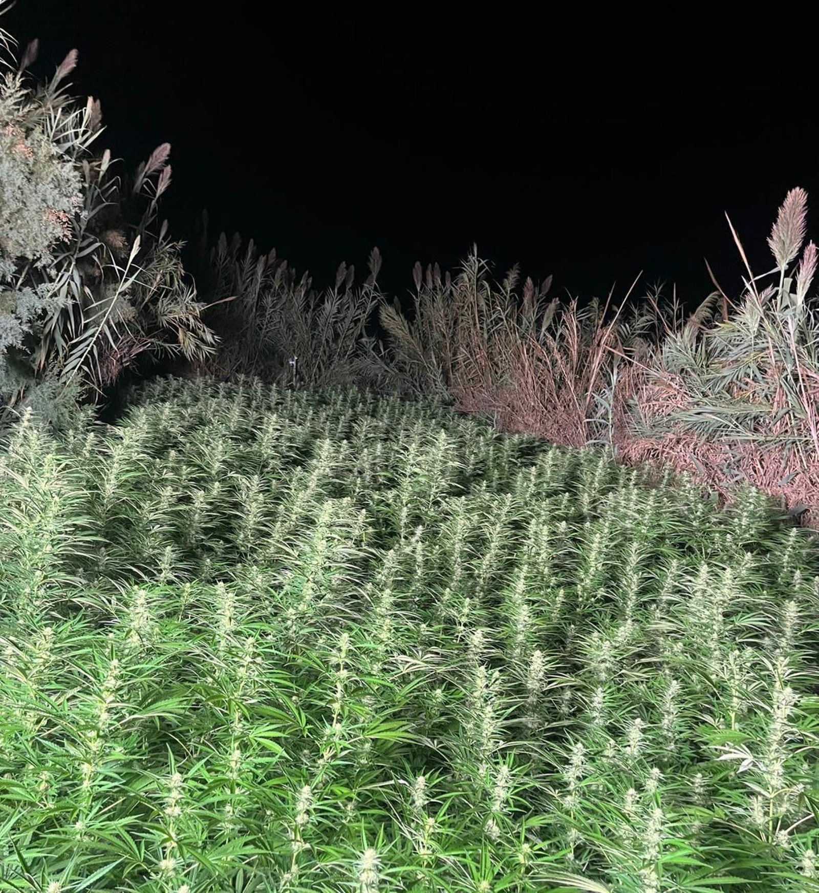 El paraje oculto se encuentra en el Paseo de las Olas