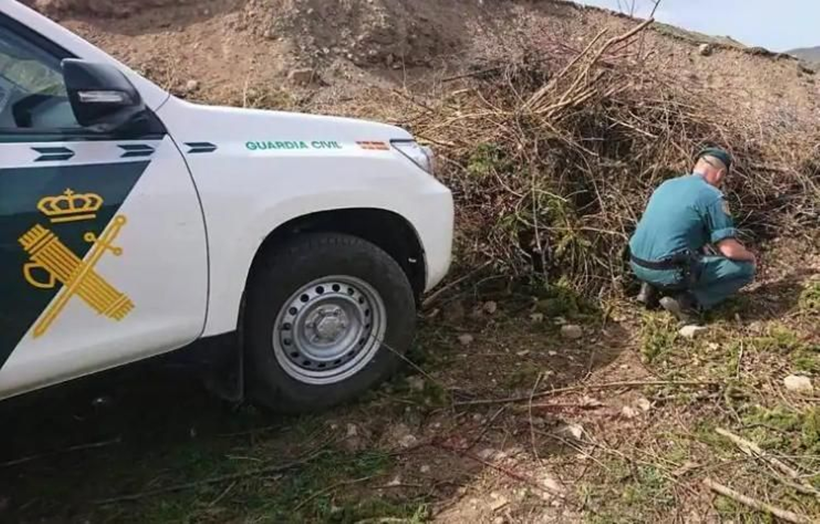 Encuentran un mastín muerto con un golpe en la cabeza en la finca de un hombre que tiene
