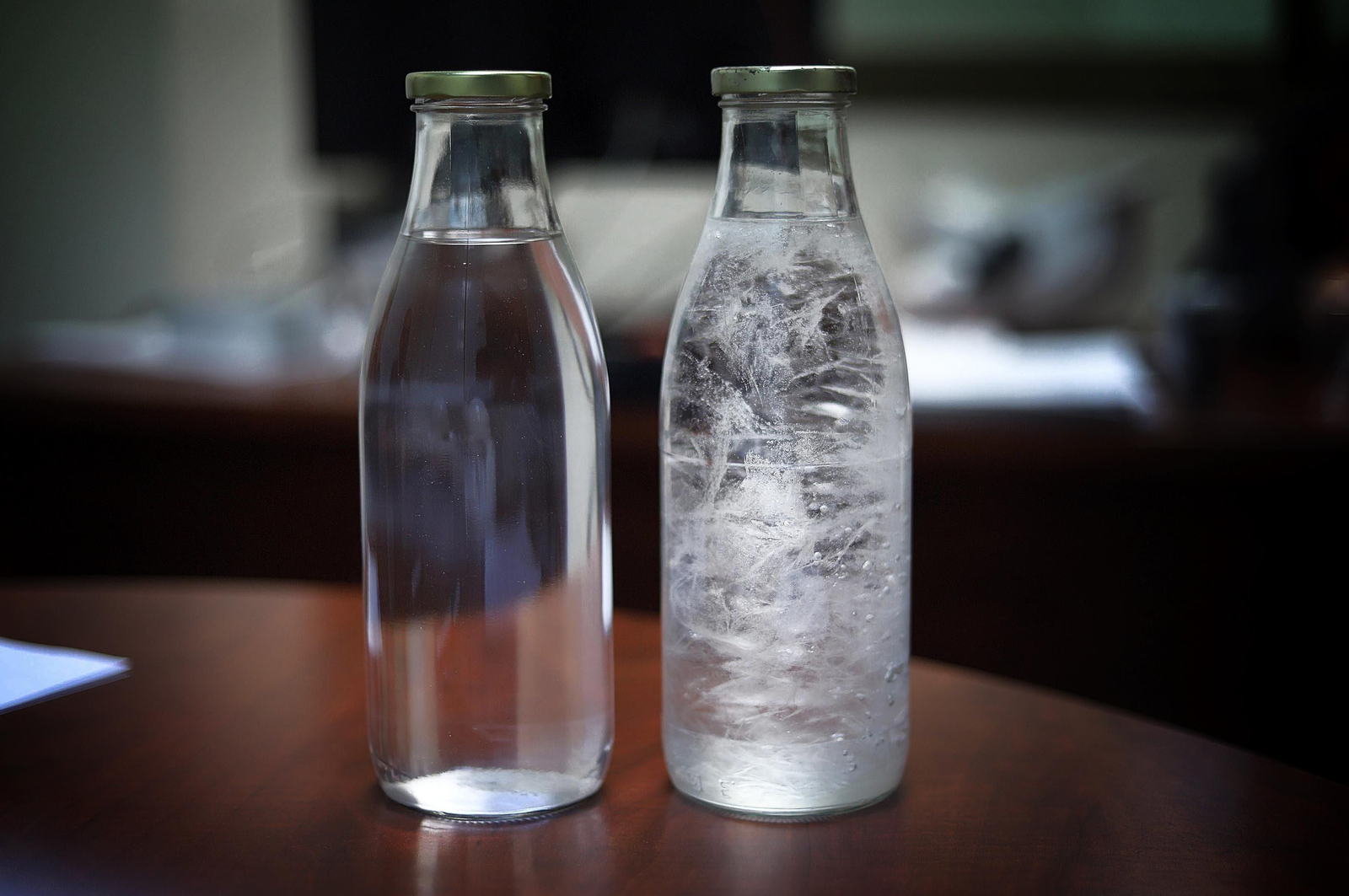 Cepsa fabrica combustible sostenible en el polo energético de La Rábida (Huelva) a partir de huesos de aceituna y otros residuos vegetales, en imágenes