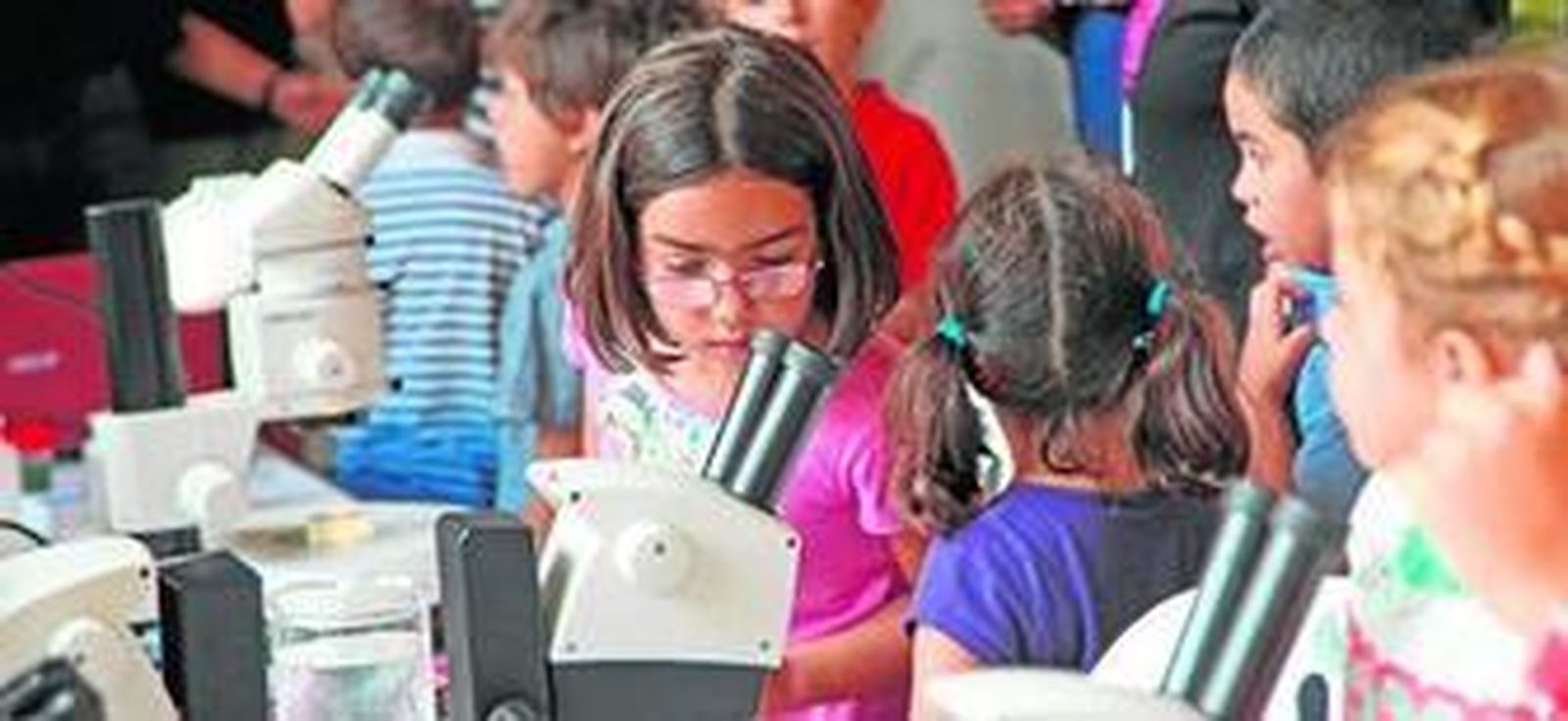 Un grupo de niños se acerca a las lentes ópticas para conocer el plancton, bentos y necton, ayer.