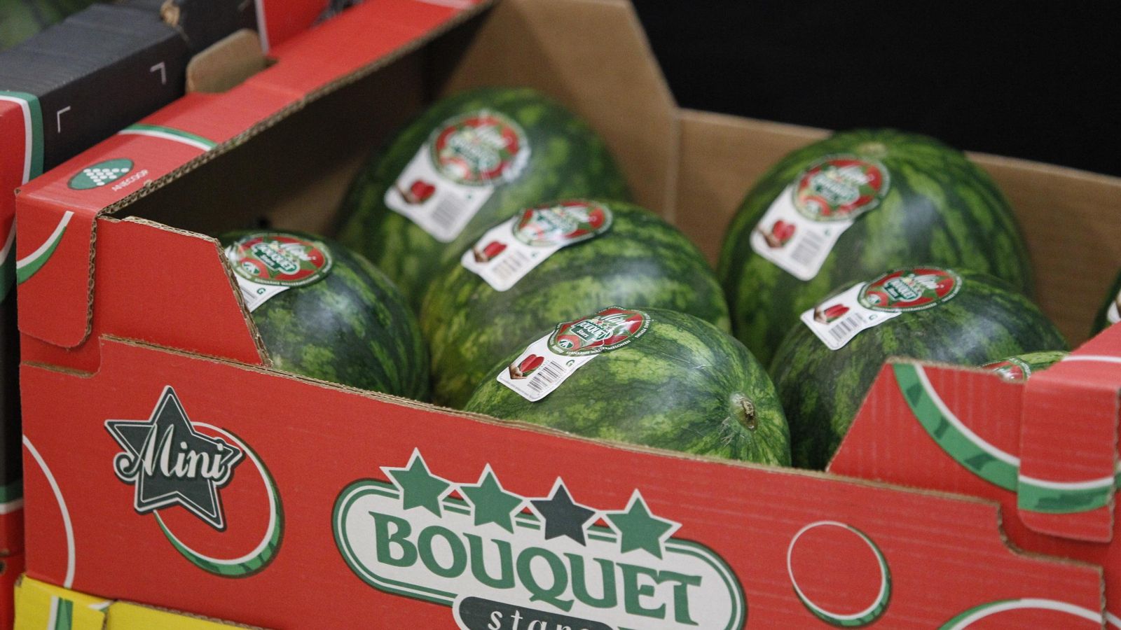 Sandías mini Bouquet.