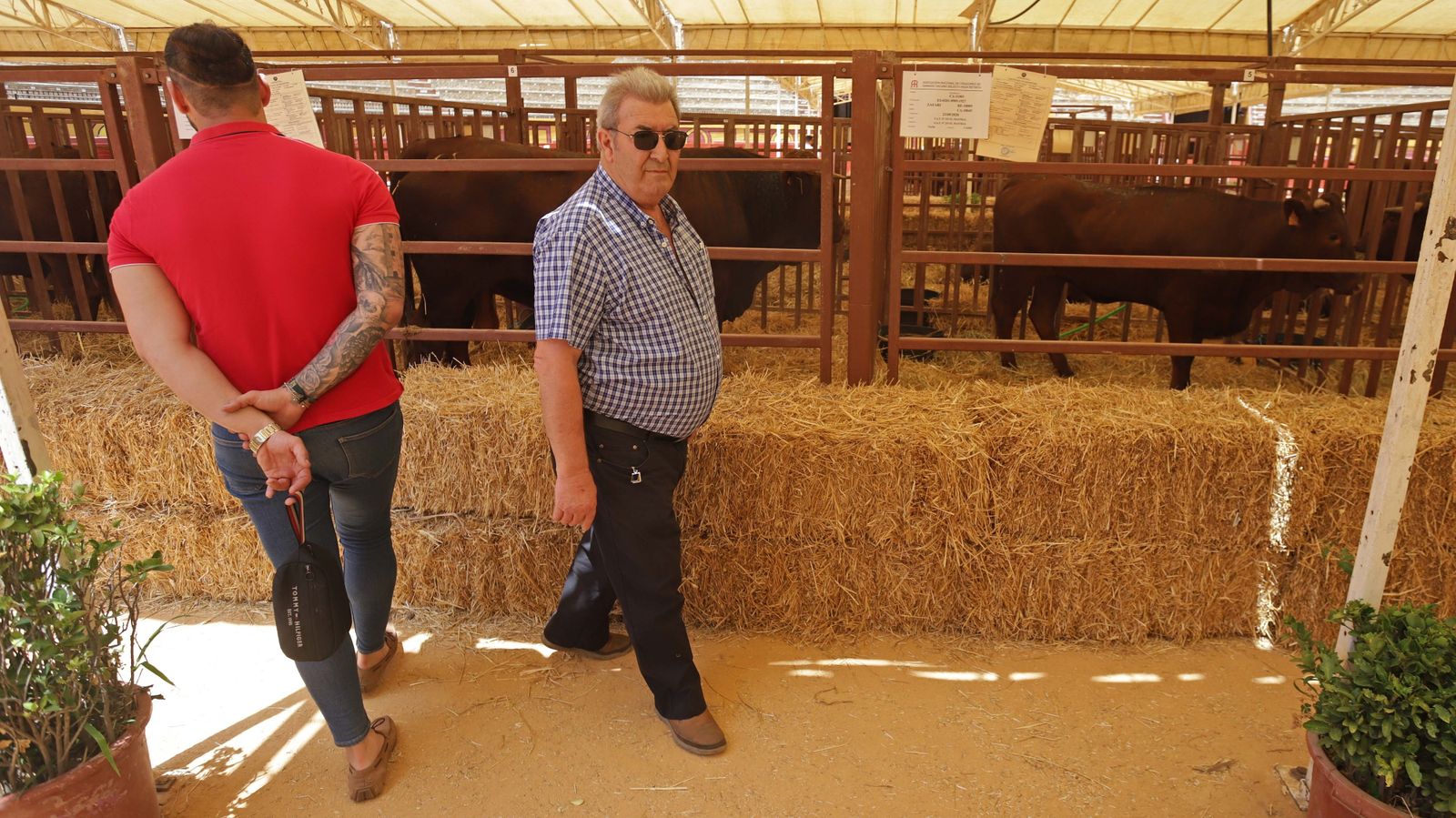 Fotos de la inauguración de la 171 Feria del Ganado de Algeciras