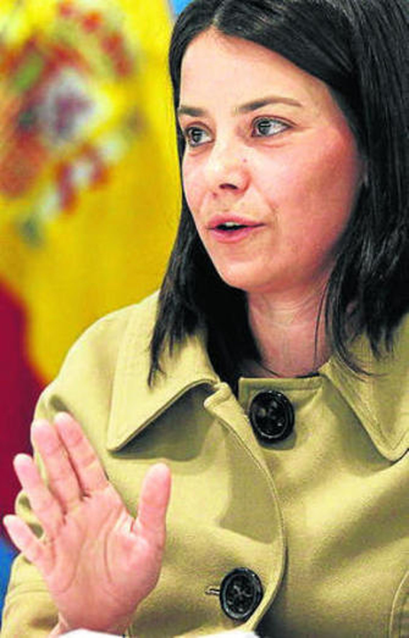 Crisis en el Instituto del Cine tras la dimisión de Susana de la Sierra