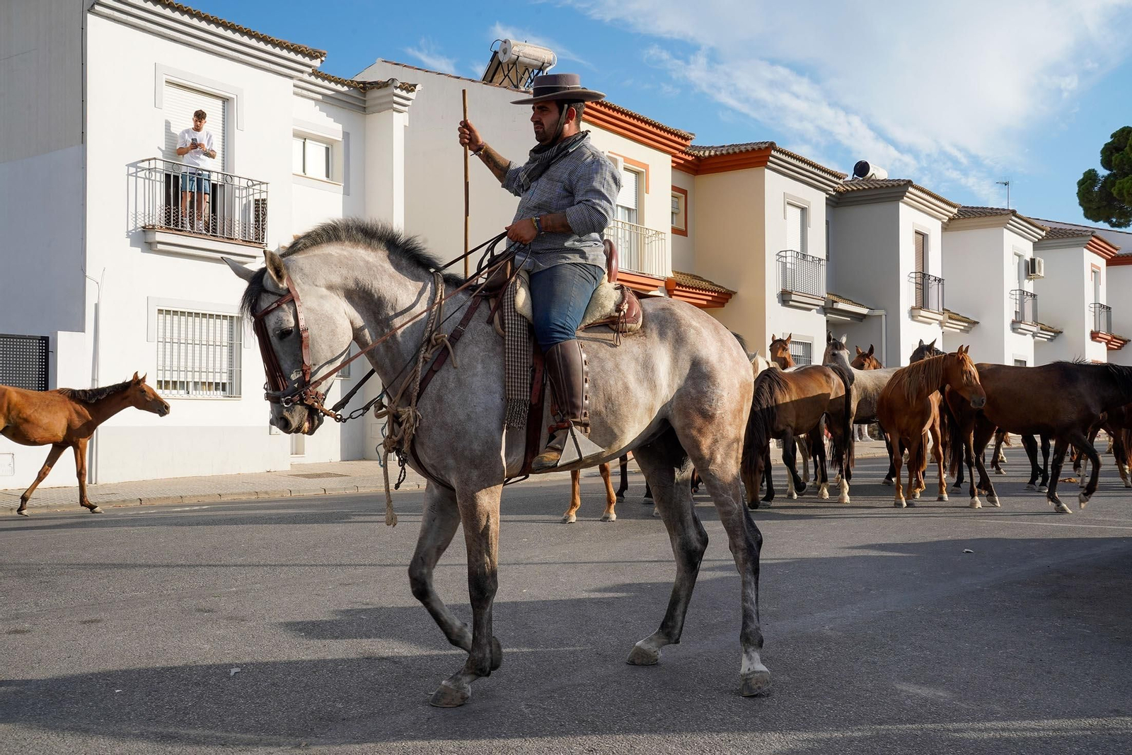 Las imágenes más destacas de la recogida de las yeguas en Hinojos
