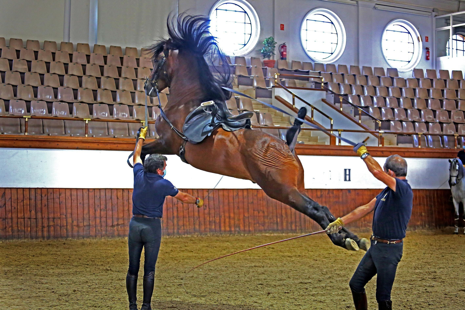 Dos jinetes de la Escuela ejercitan con un caballo hace unas semanas.