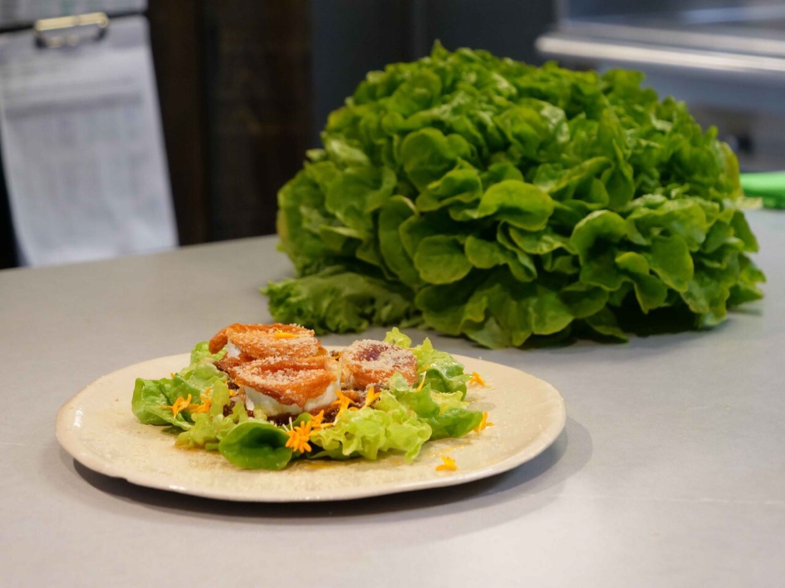 Ensalada de hoja de roble de Rodrigo de la Calle y Primaflor