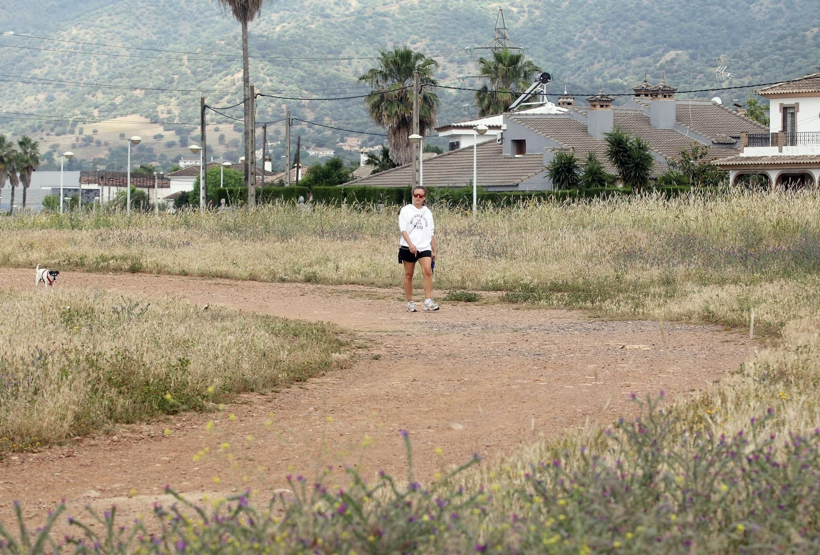 Terrenos del Parque del Canal.
