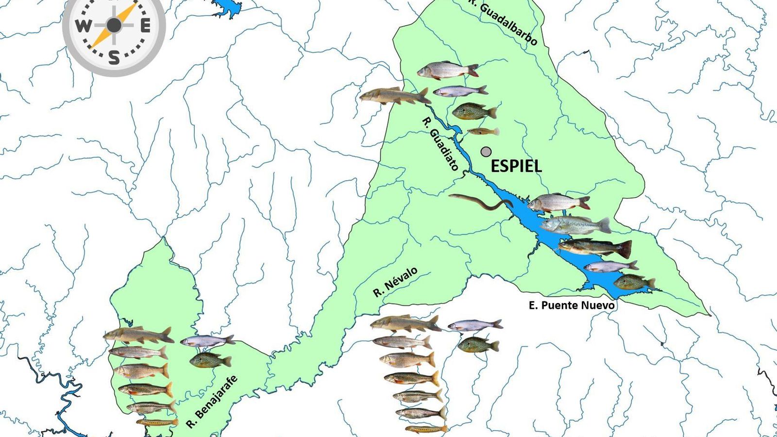 Mapa de biodiversidad en Espiel.