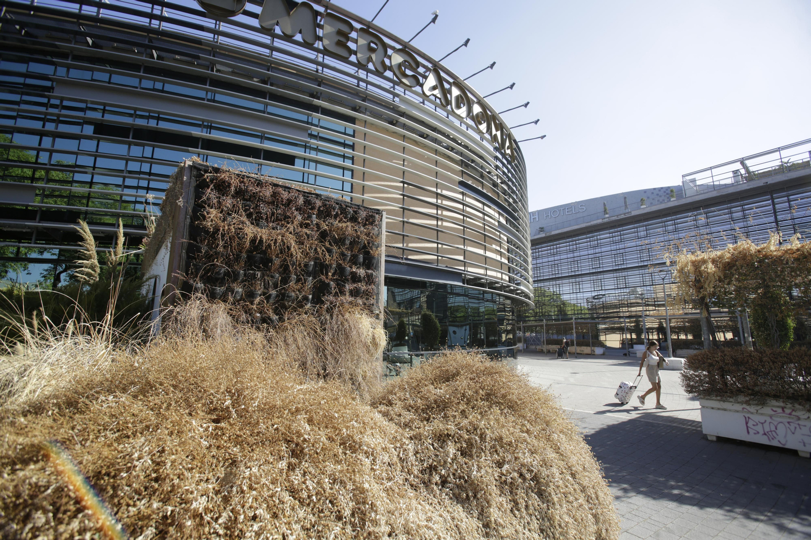 Abandono y mal estado de la plaza entre Mercadona y Plaza de Armas