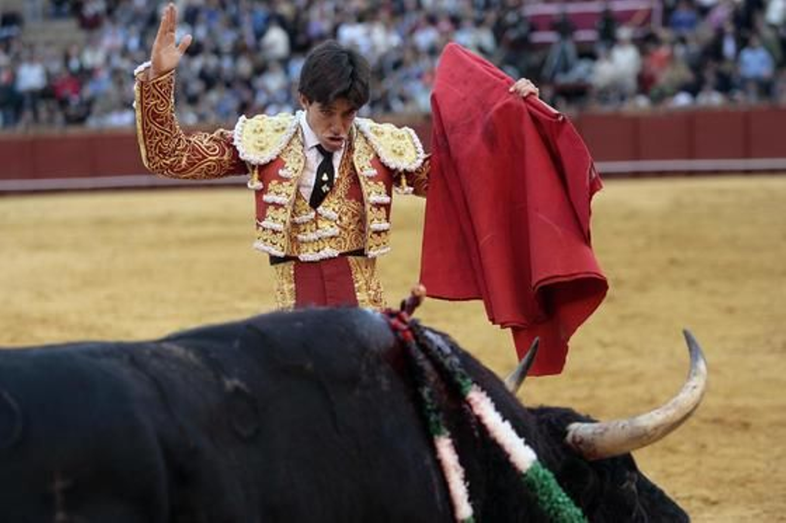 Esaú Fernández cerró la tarde con el sexto toro, de cuya faena obtuvo una oreja.

Foto: Juan Carlos Muñoz