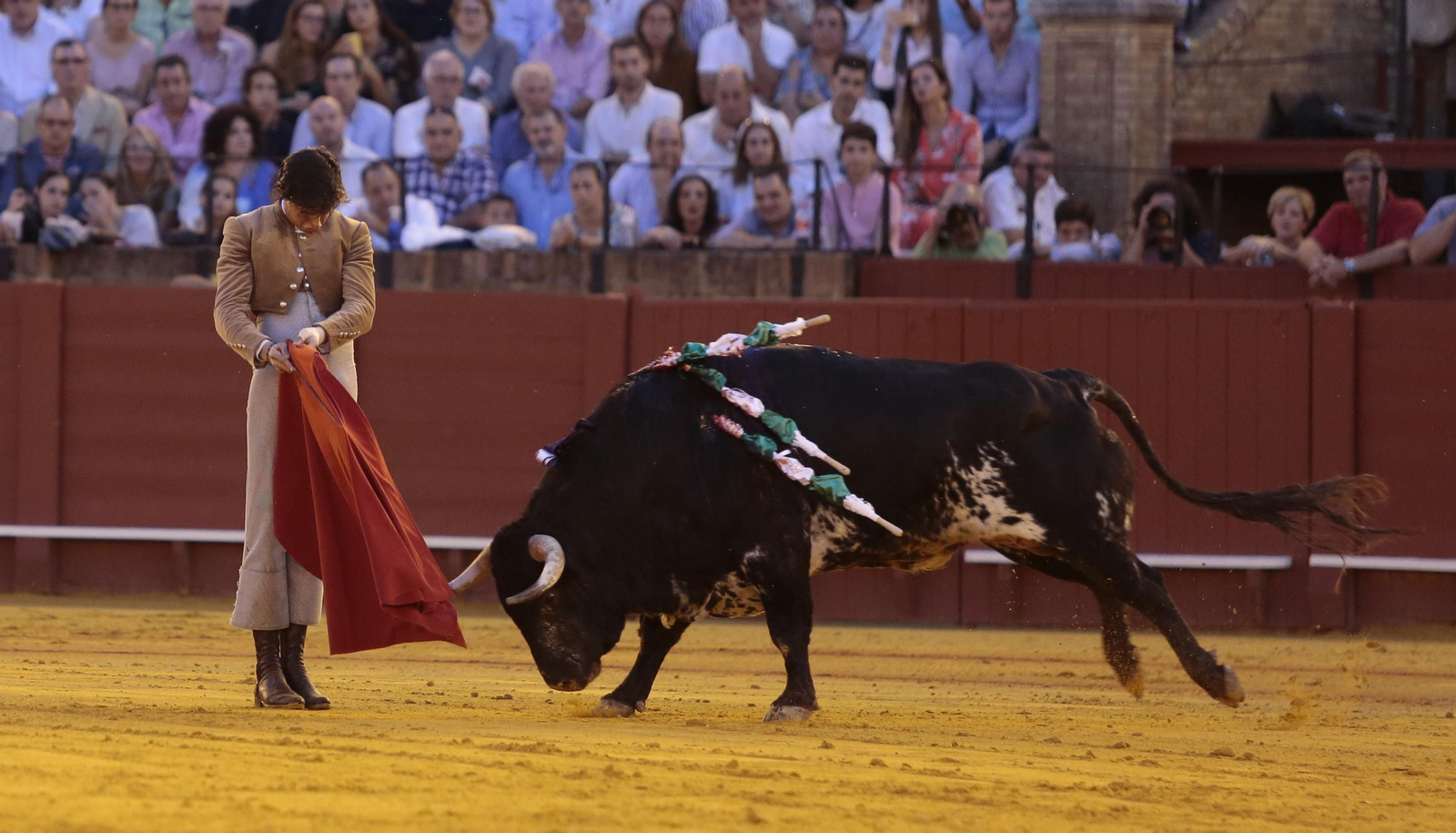 Imágenes del festival benéfico de toros en beneficio de la Hermandad de la Macarena