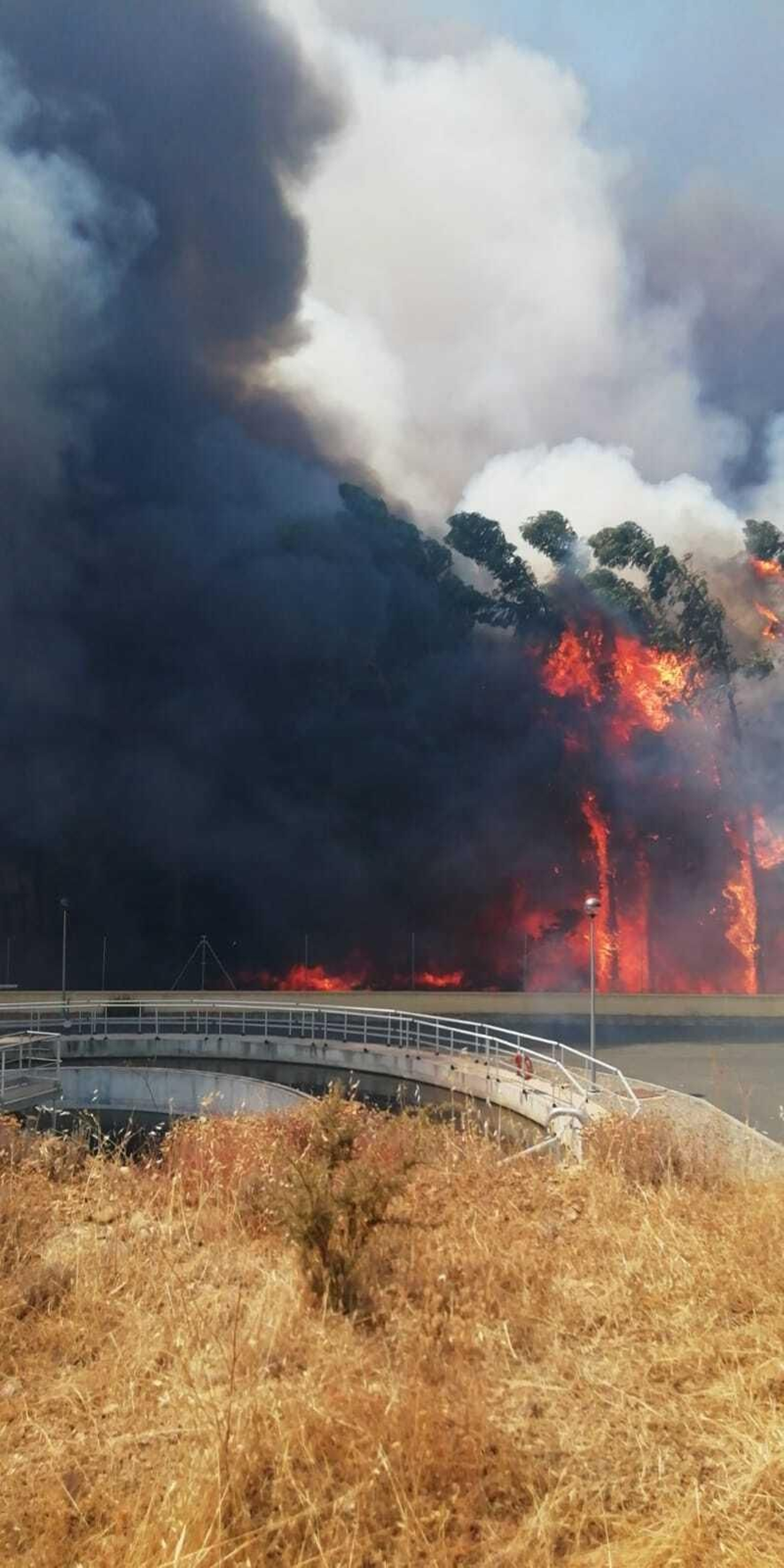 La carretera que une Zalamea la Real con El Villar, con las llamas encima.