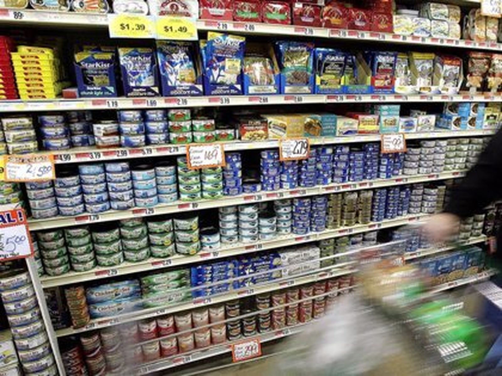 Estas son las mejores latas de atún en aceite, según la OCU