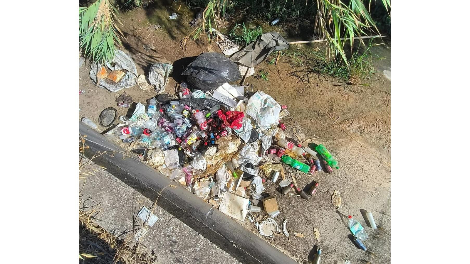 Basura arrojada junto al arroyo.