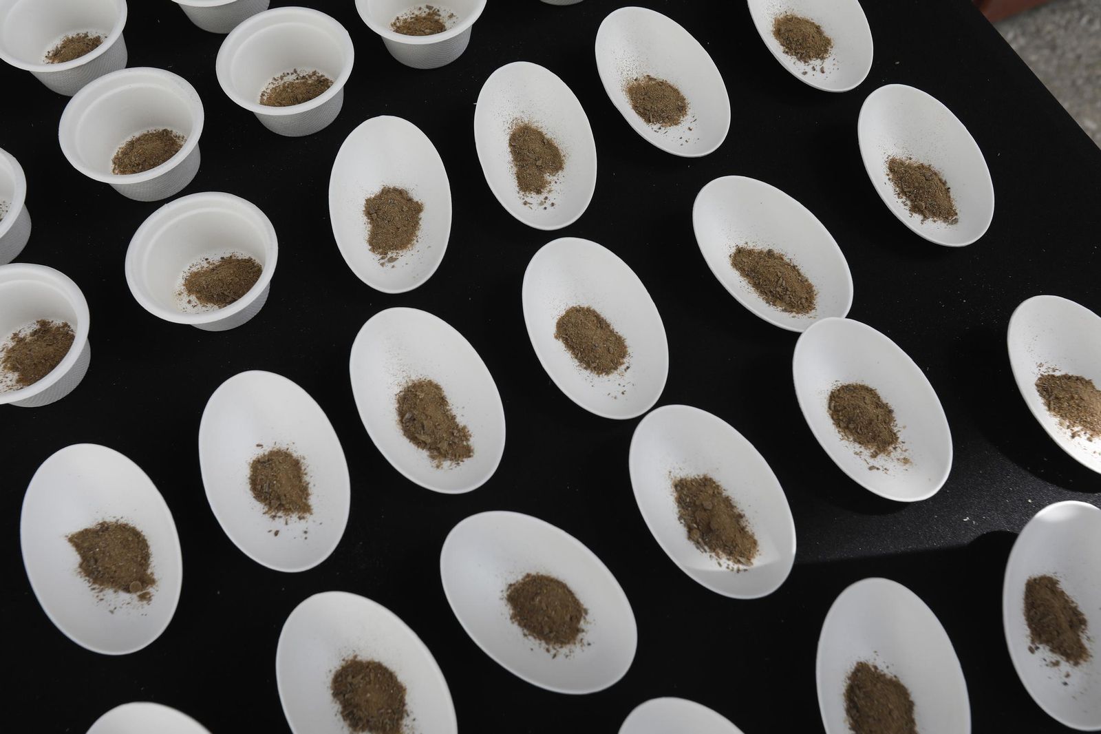 Las fotos de las Jornadas Europeas de Arqueología en la factoría de salazón de lulia Traducta