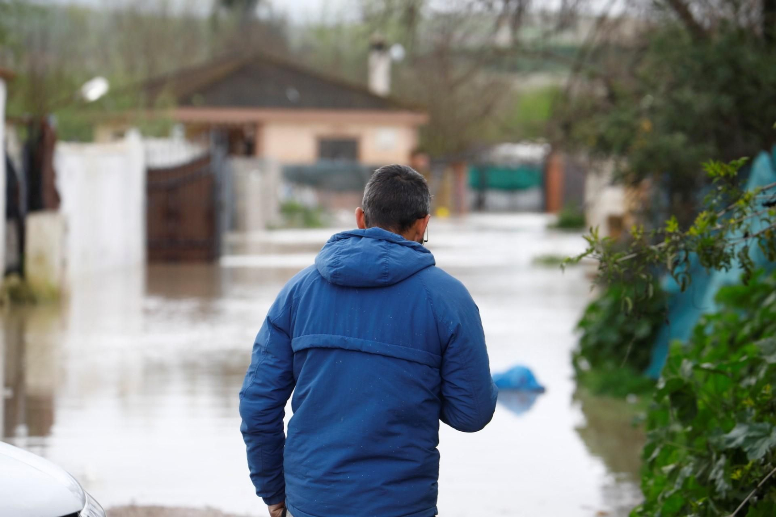 Las imágenes de las parcelaciones inundadas por la crecida del río Guadalquivir