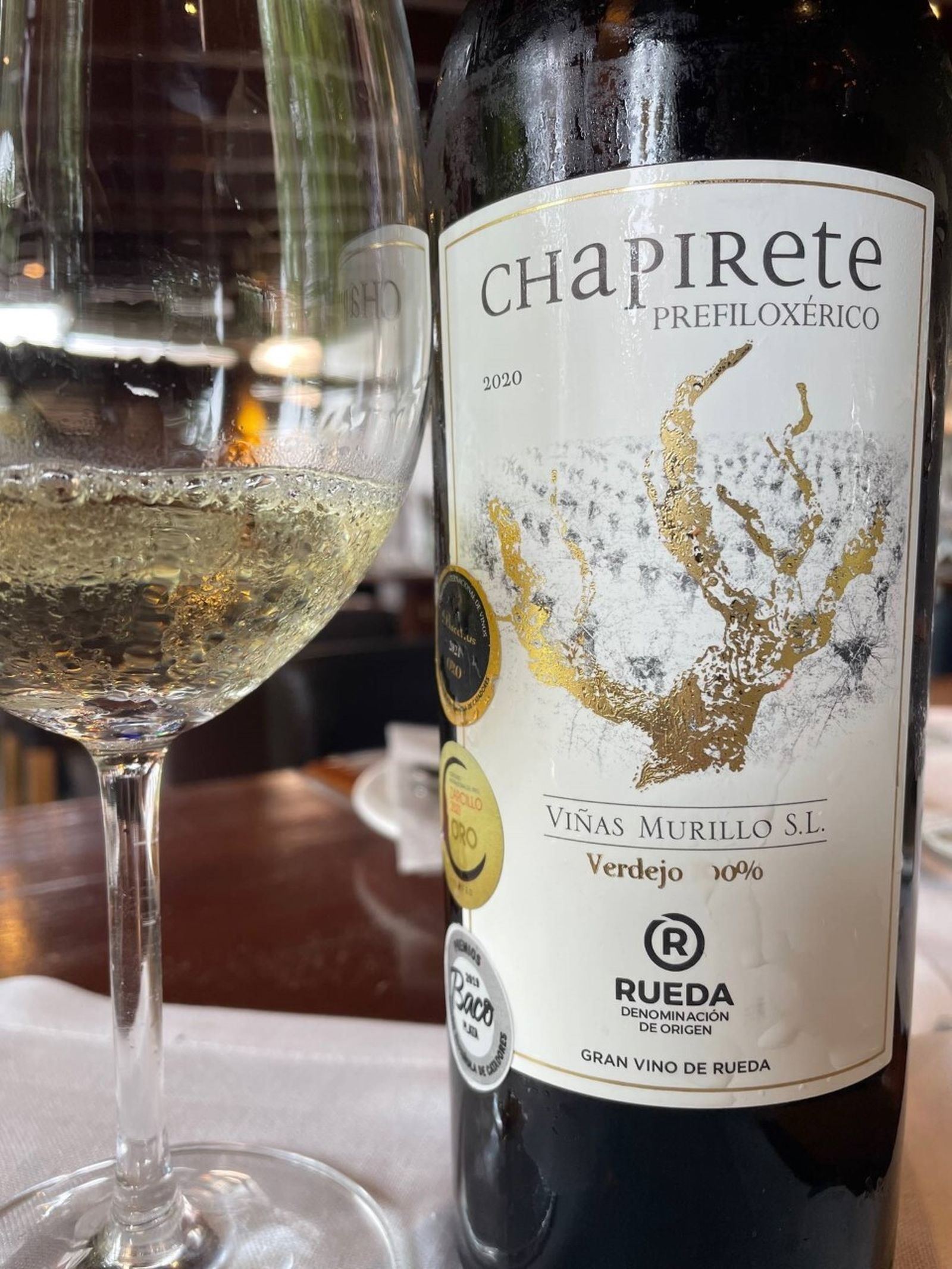 Chapierete Prefiloxérico.