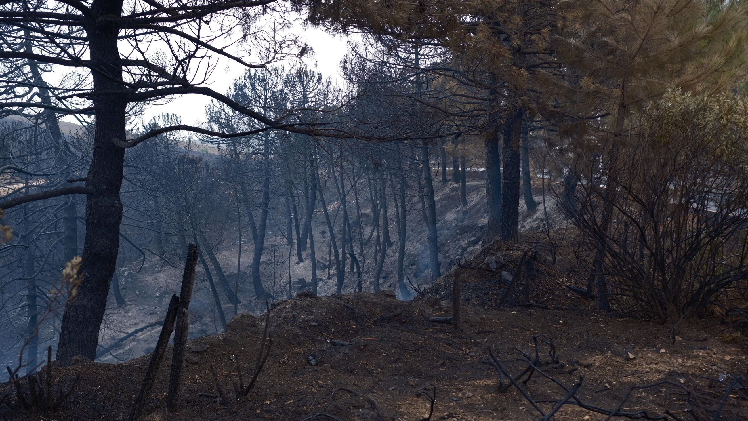 Extinguido el incendio forestal de Igualeja tras cinco días de trabajos