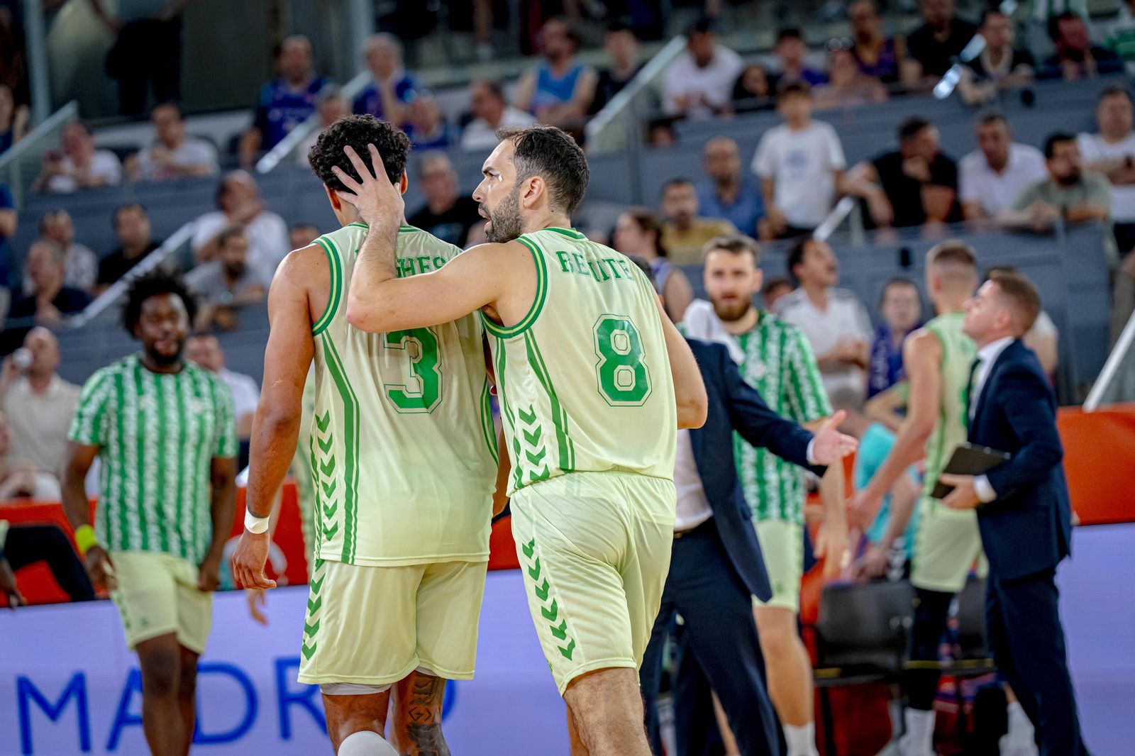 Las mejores fotos del ascenso del Betis Baloncesto