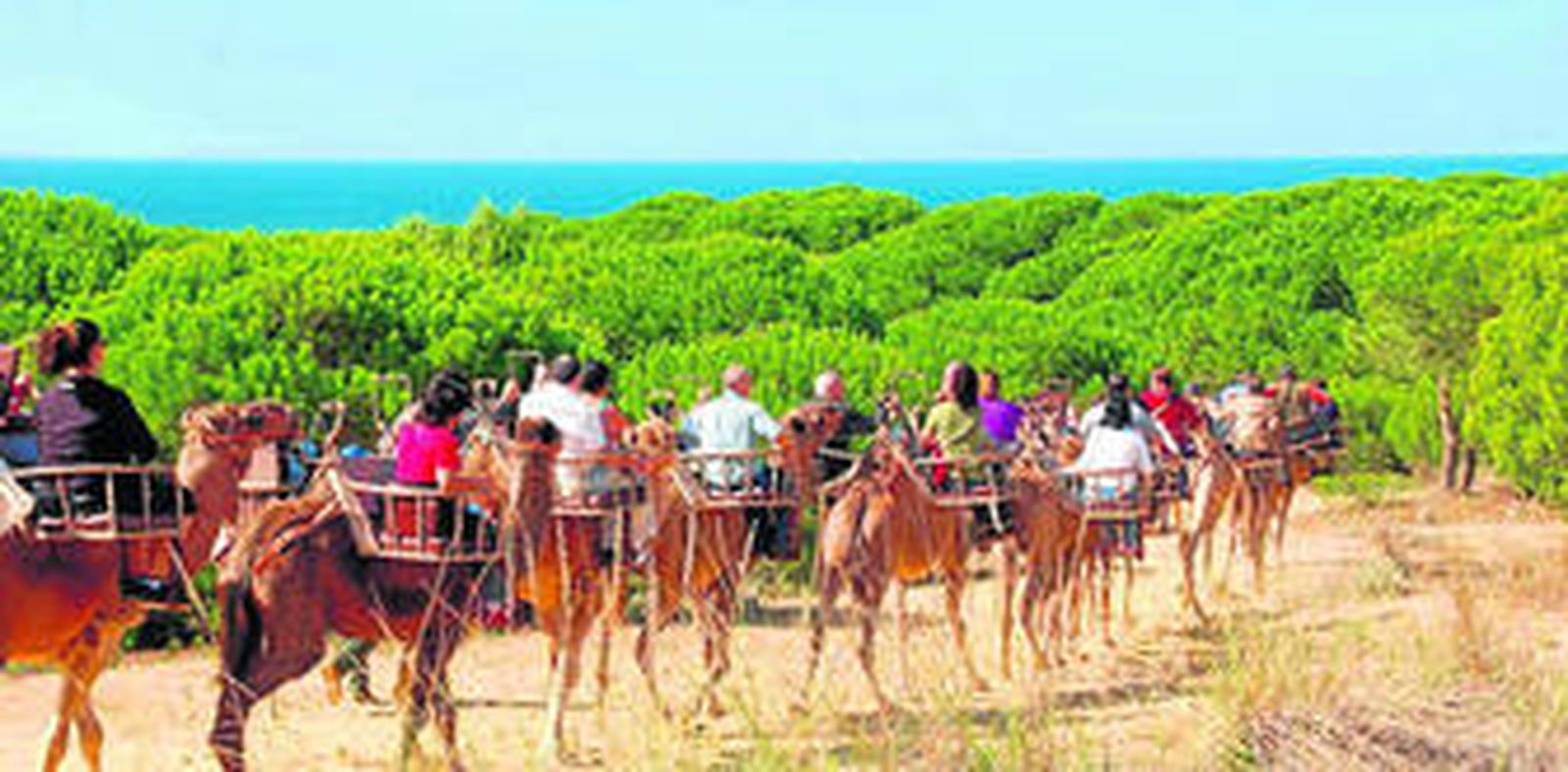 En las rutas en dromedario pueden participar personas y niños de cualquier edad y no hace falta tener ninguna preparación previa.