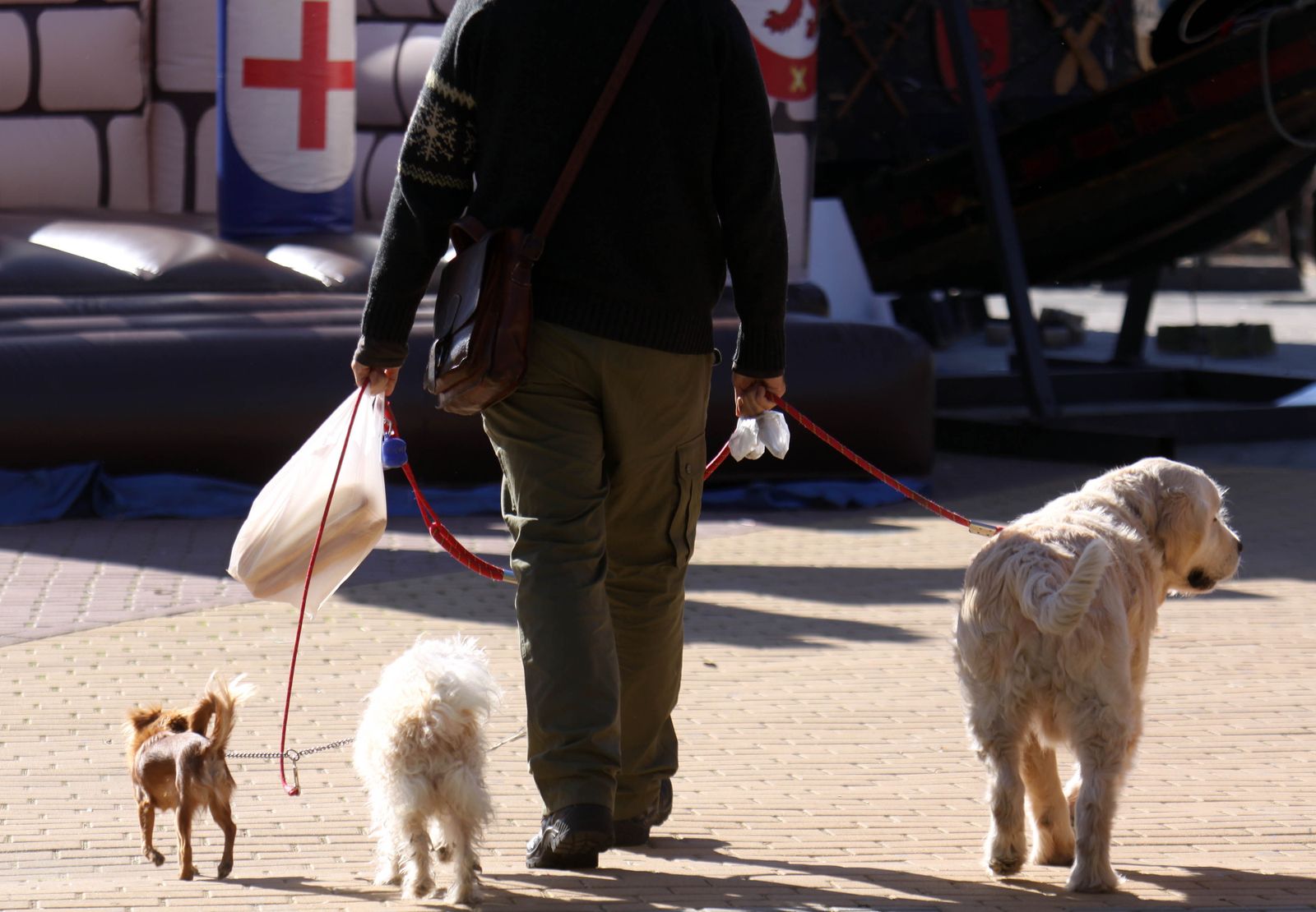 Un hombre pasea junto a sus tres perros en Málaga.