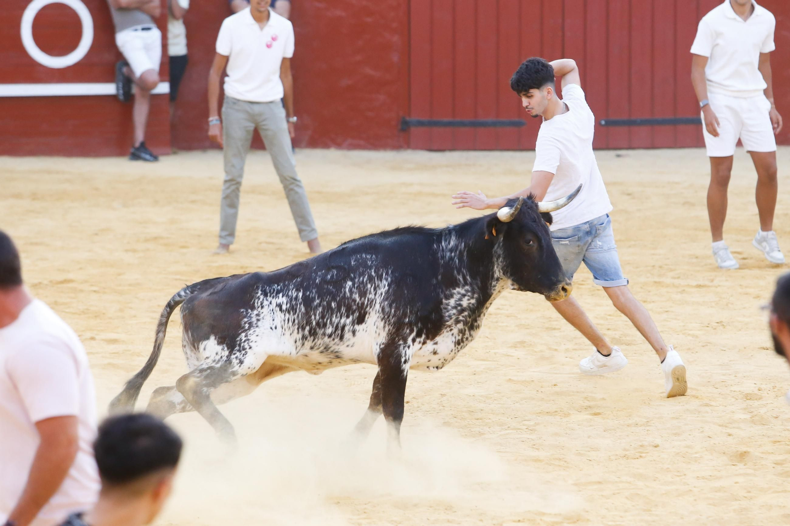 Fotos del Toro del Aguardiente en San Roque