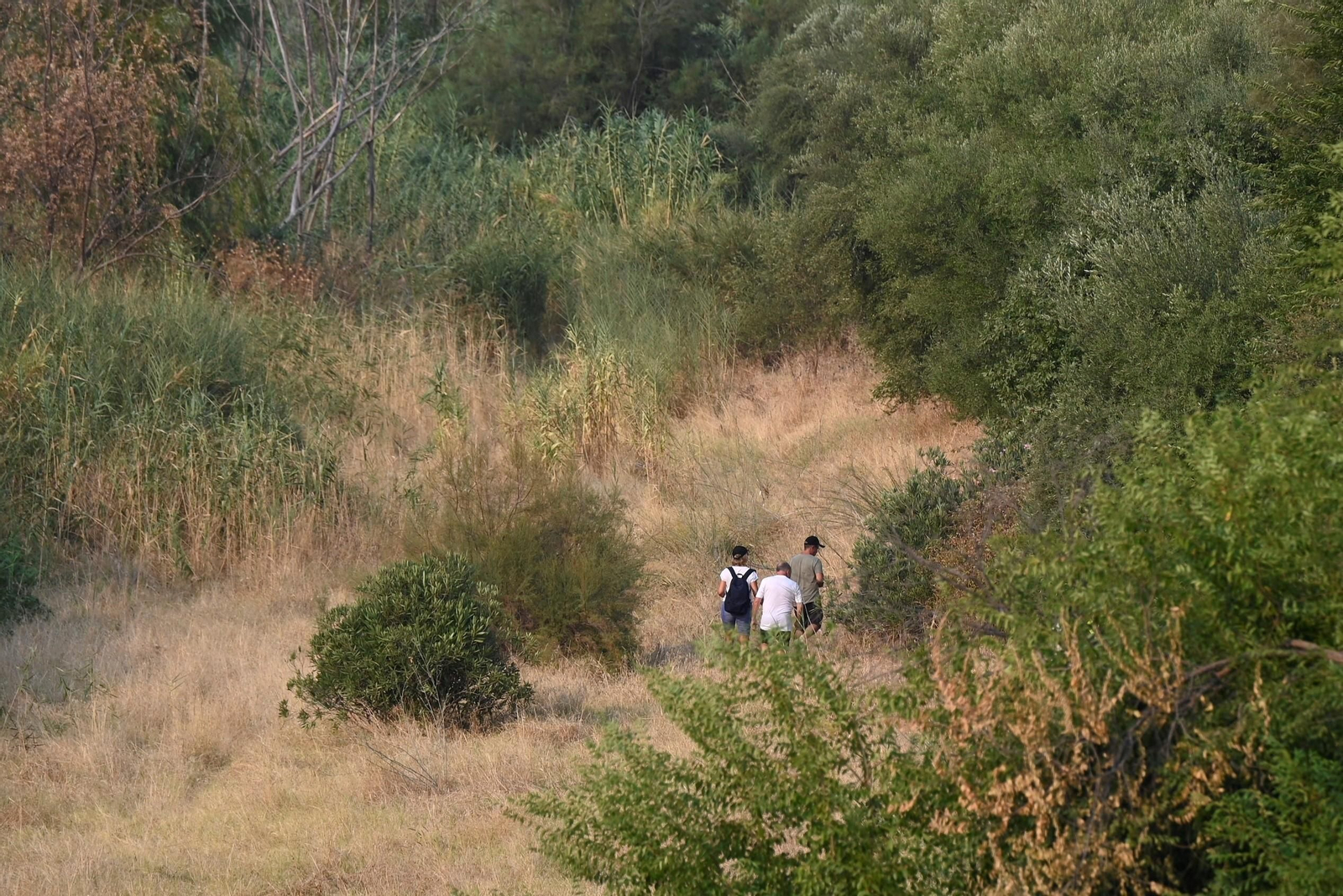 La búsqueda del hombre de 59 años desaparecido en Córdoba, en imágenes