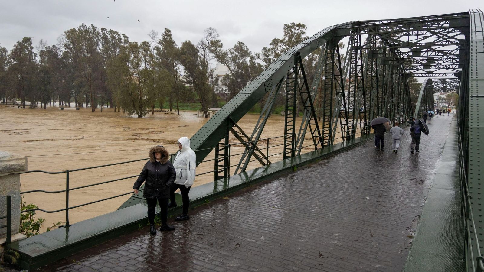 El río Guadalhorce a su paso por Cártama