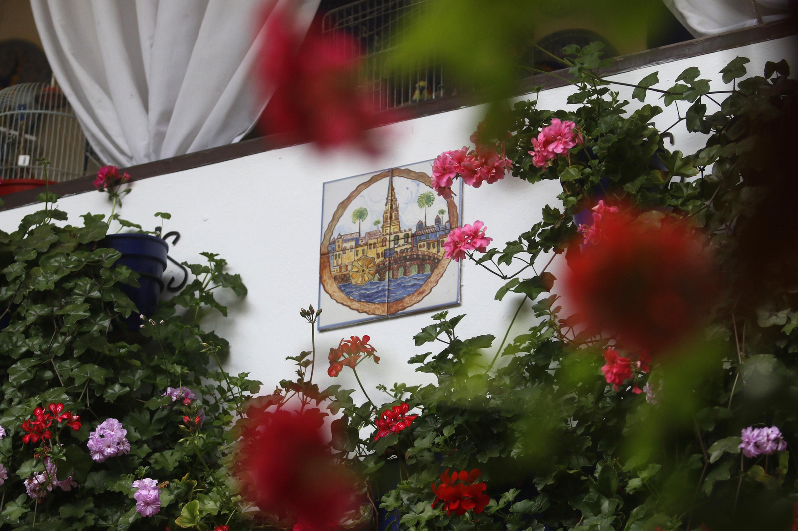 Ruta Santiago - San Pedro de los Patios de Córdoba, en imágenes