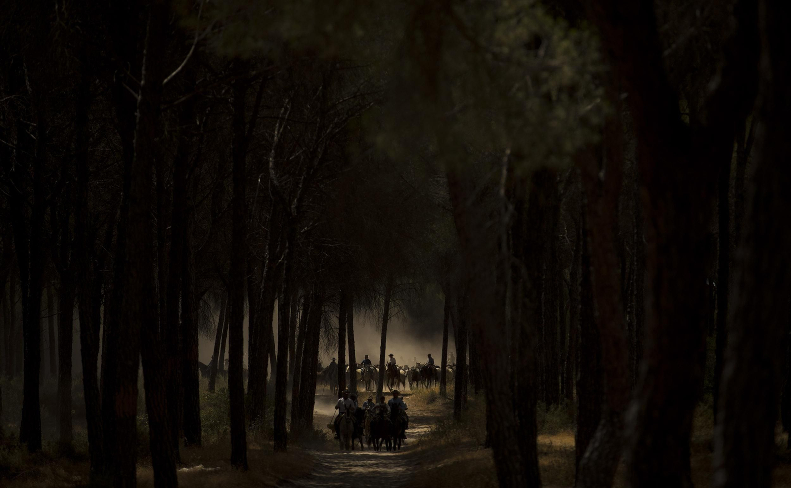 La Saca de las Yeguas, en imágenes