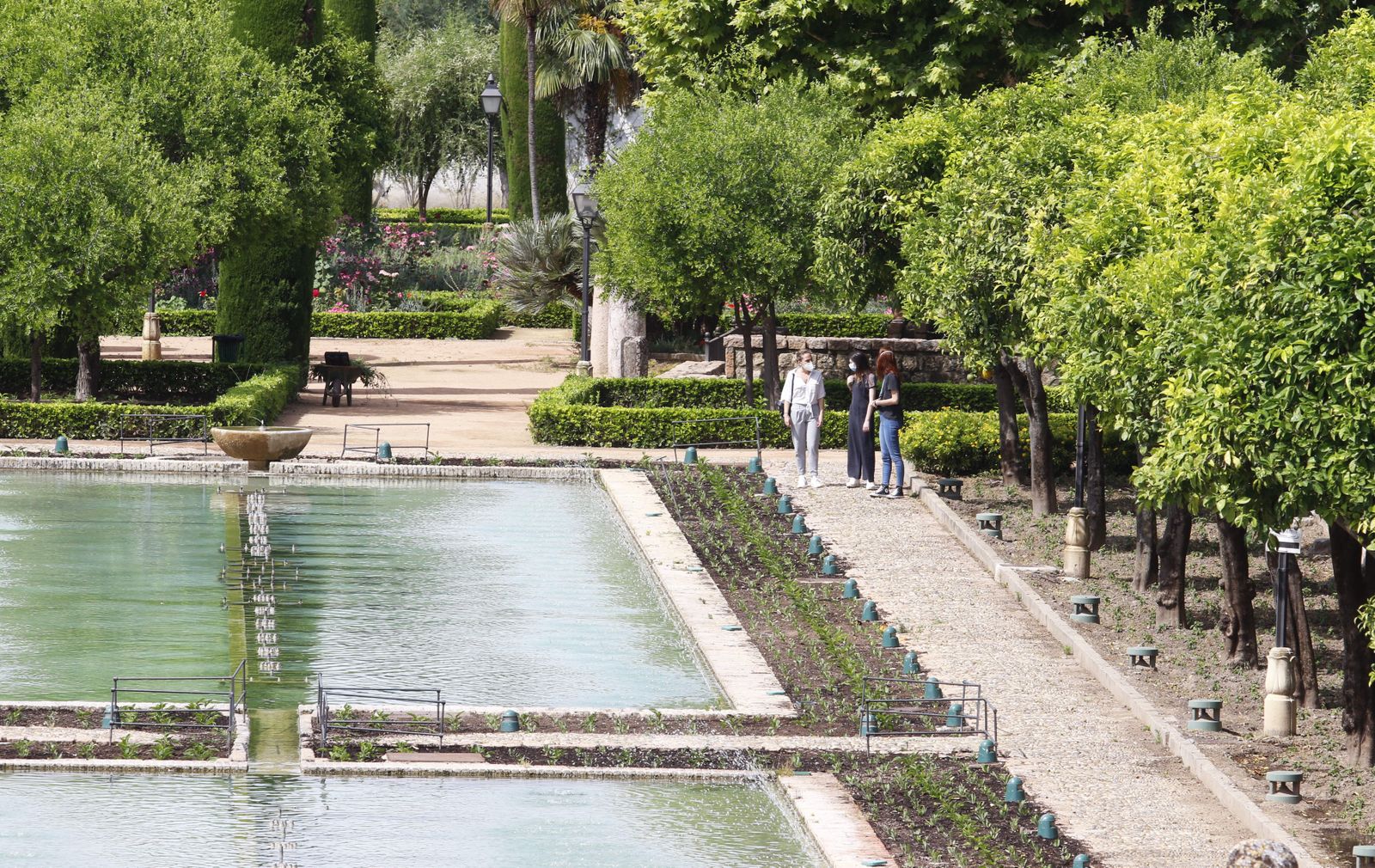 Las fotografías de la reapertura al público del Alcázar