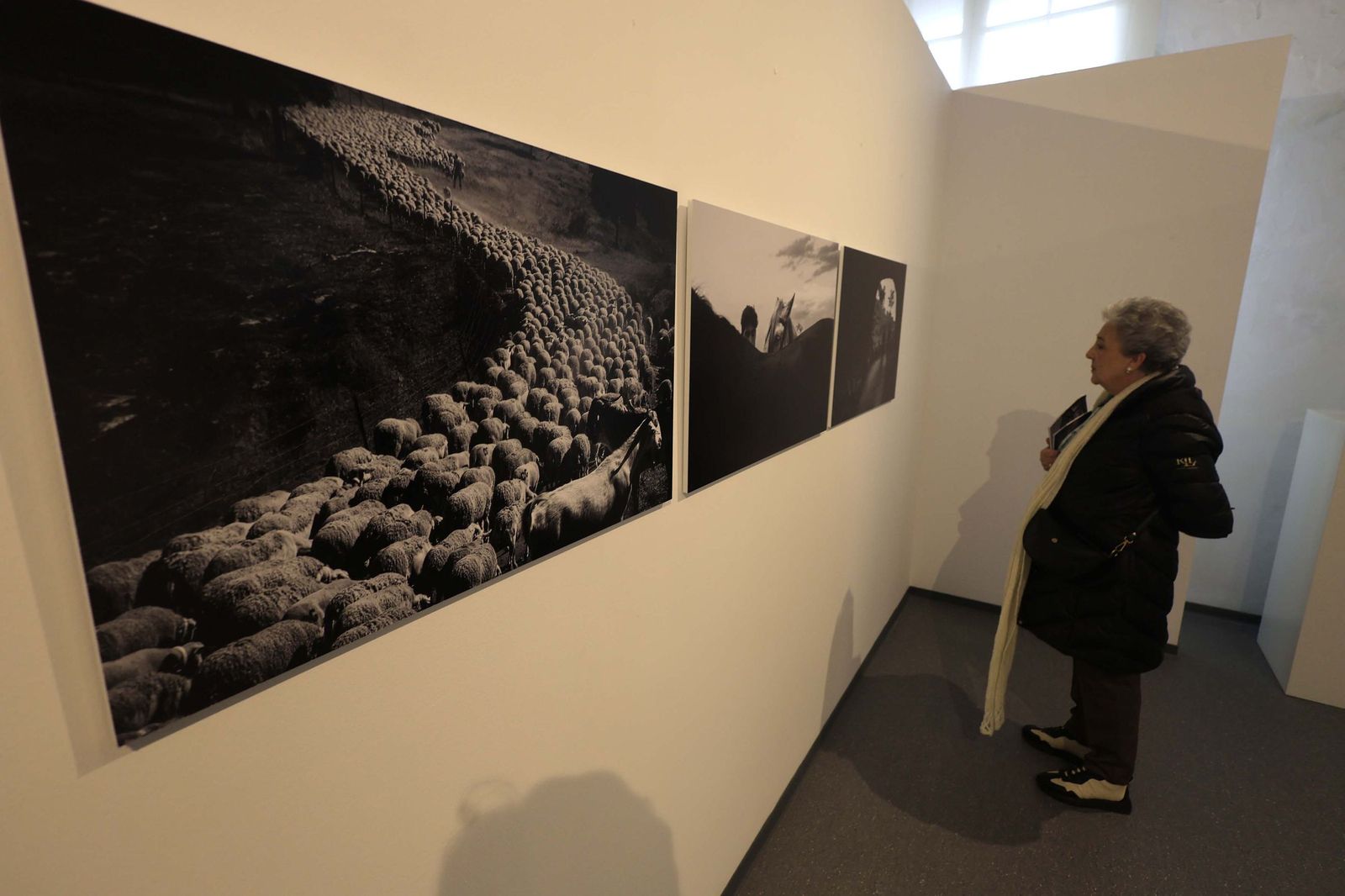 Fotos de la exposición 'Yerba, el corazón verde de la transhumancia' de Katy Muñoz