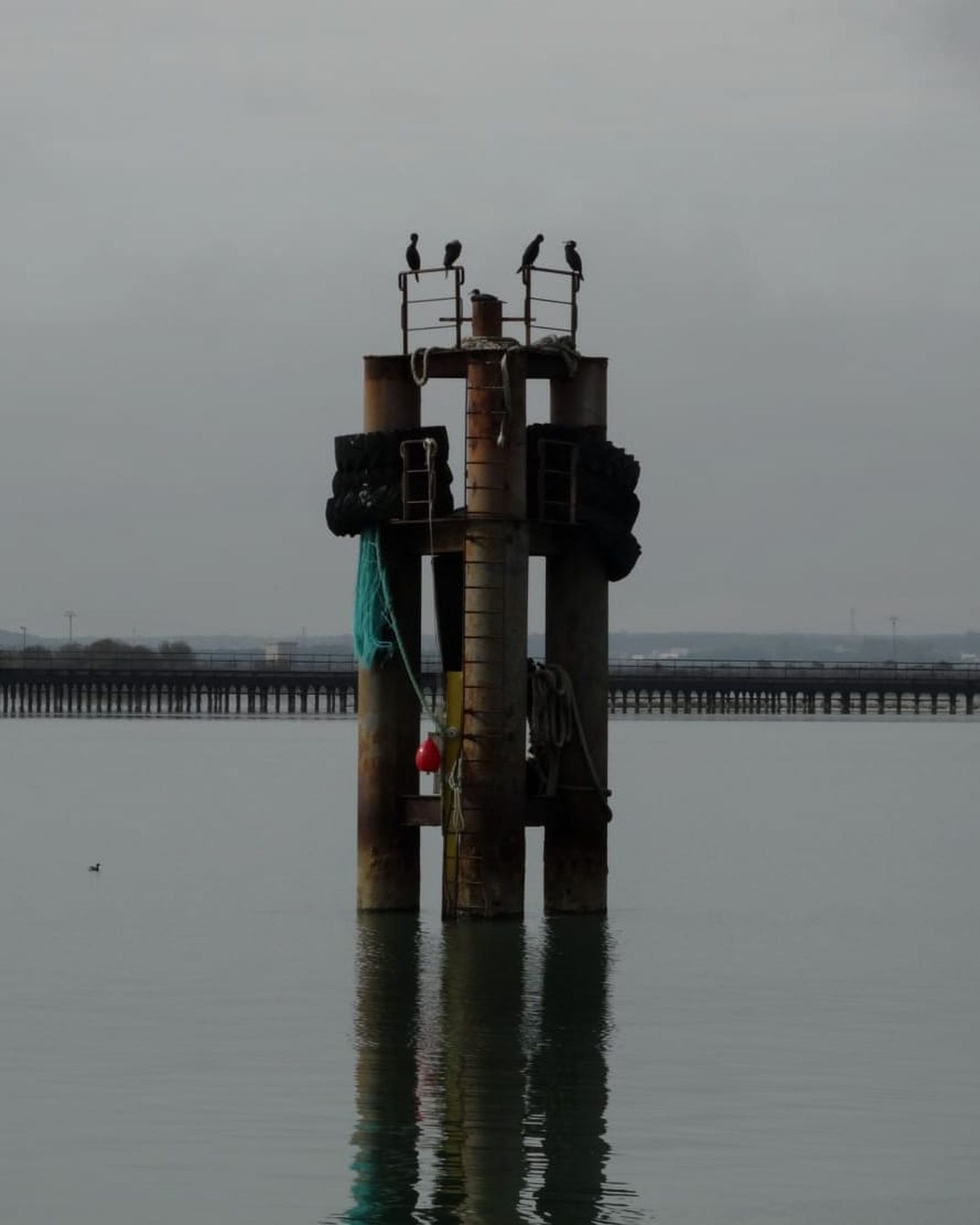 Fotografías de ambiente en la mañana del jueves