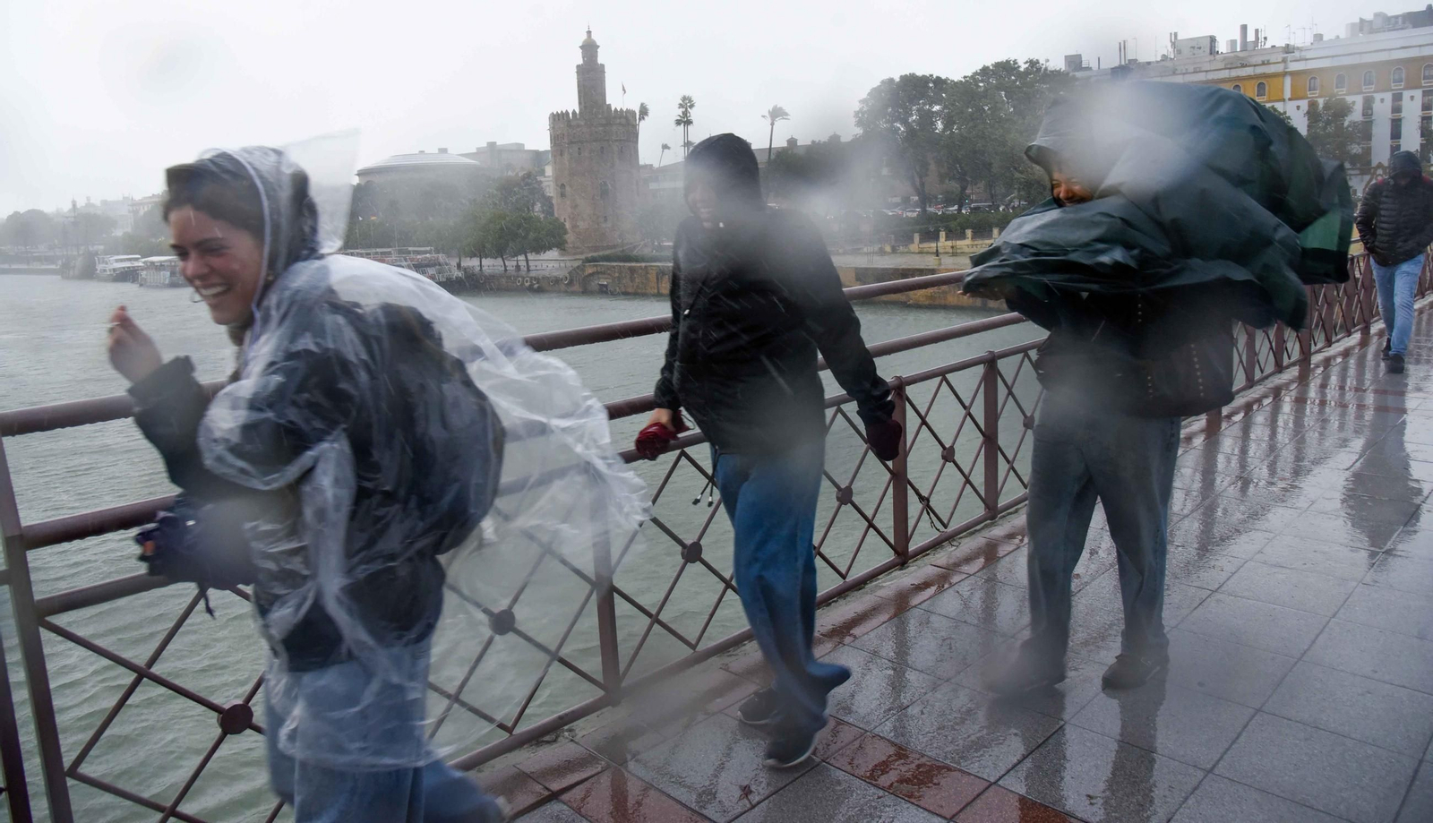 El paso de la Borrasca Claudia por Sevilla en imágenes