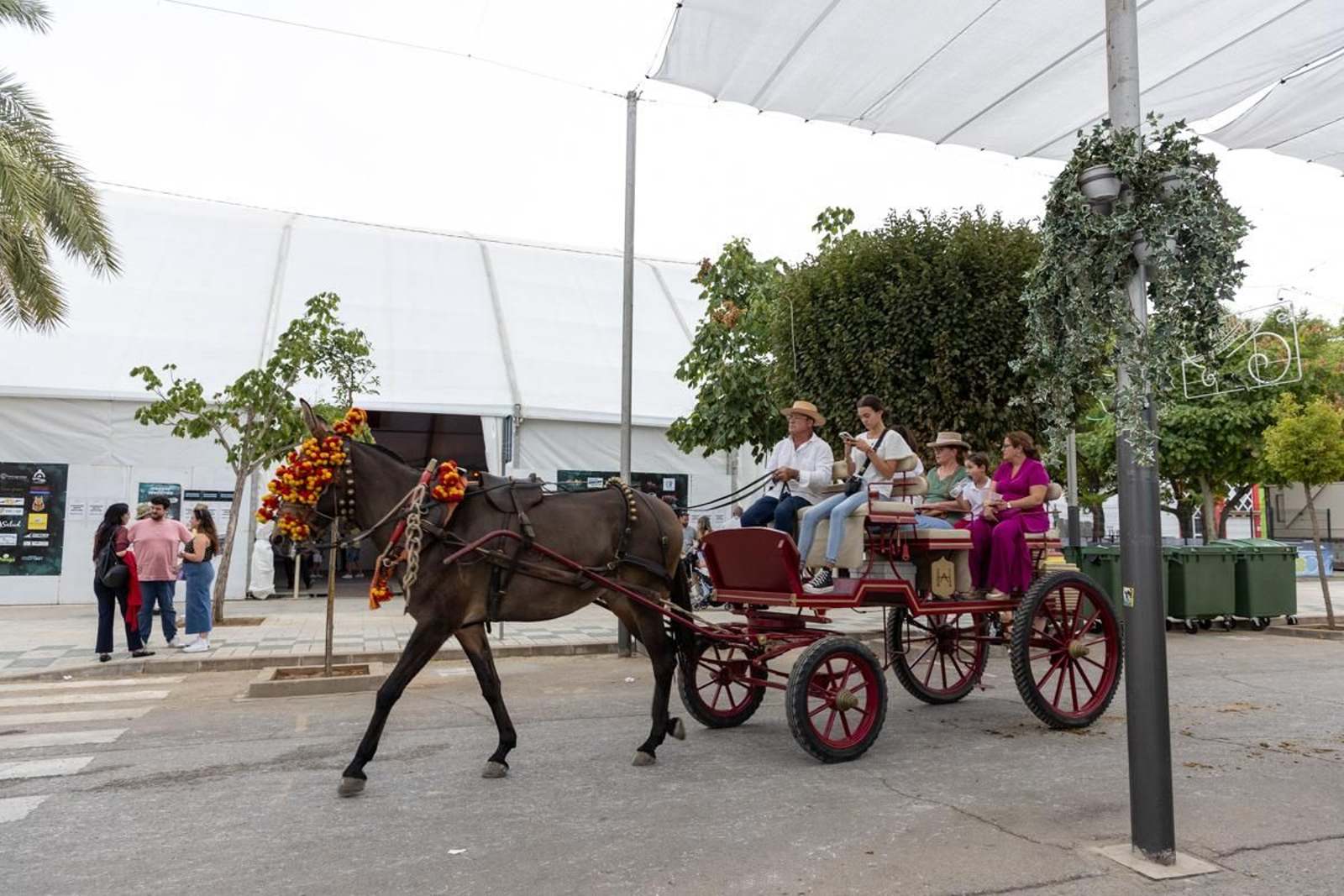 Feria y fiestas en honor a San Eufrasio, Andújar, en imágenes