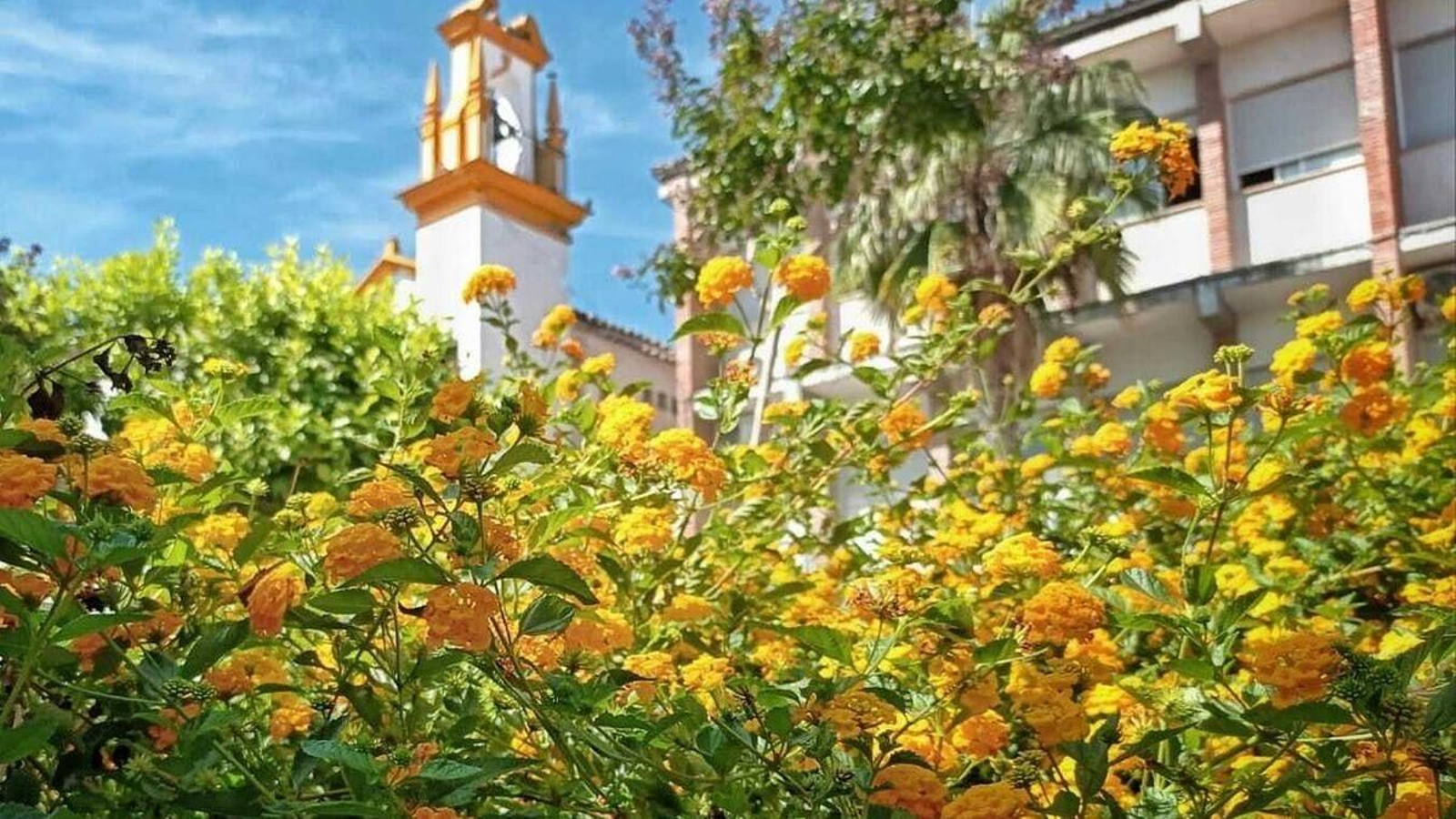 Cañete de las Torres, primera villa botánica de España