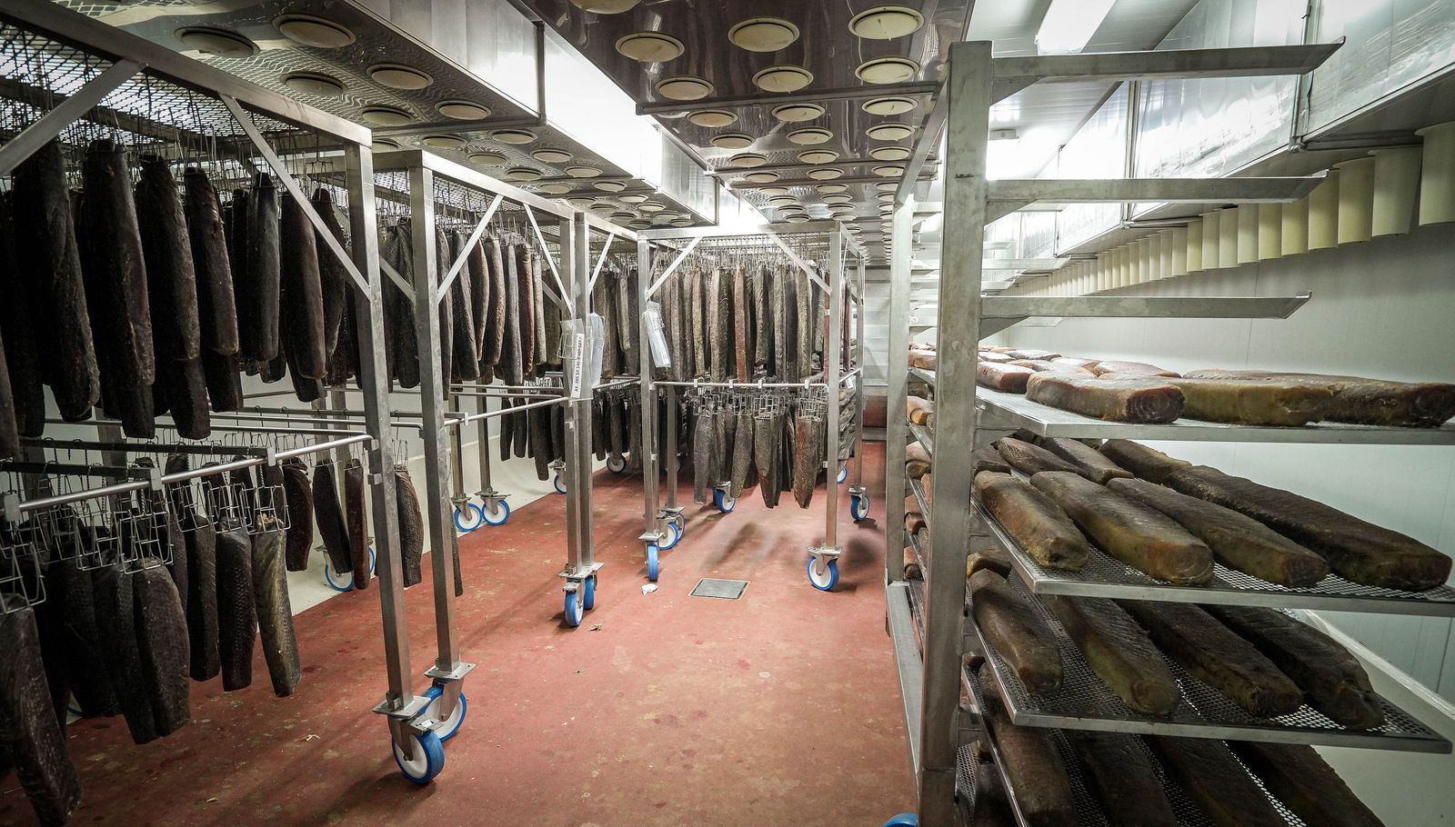 Imágenes de una tradición viva: Herpac por dentro