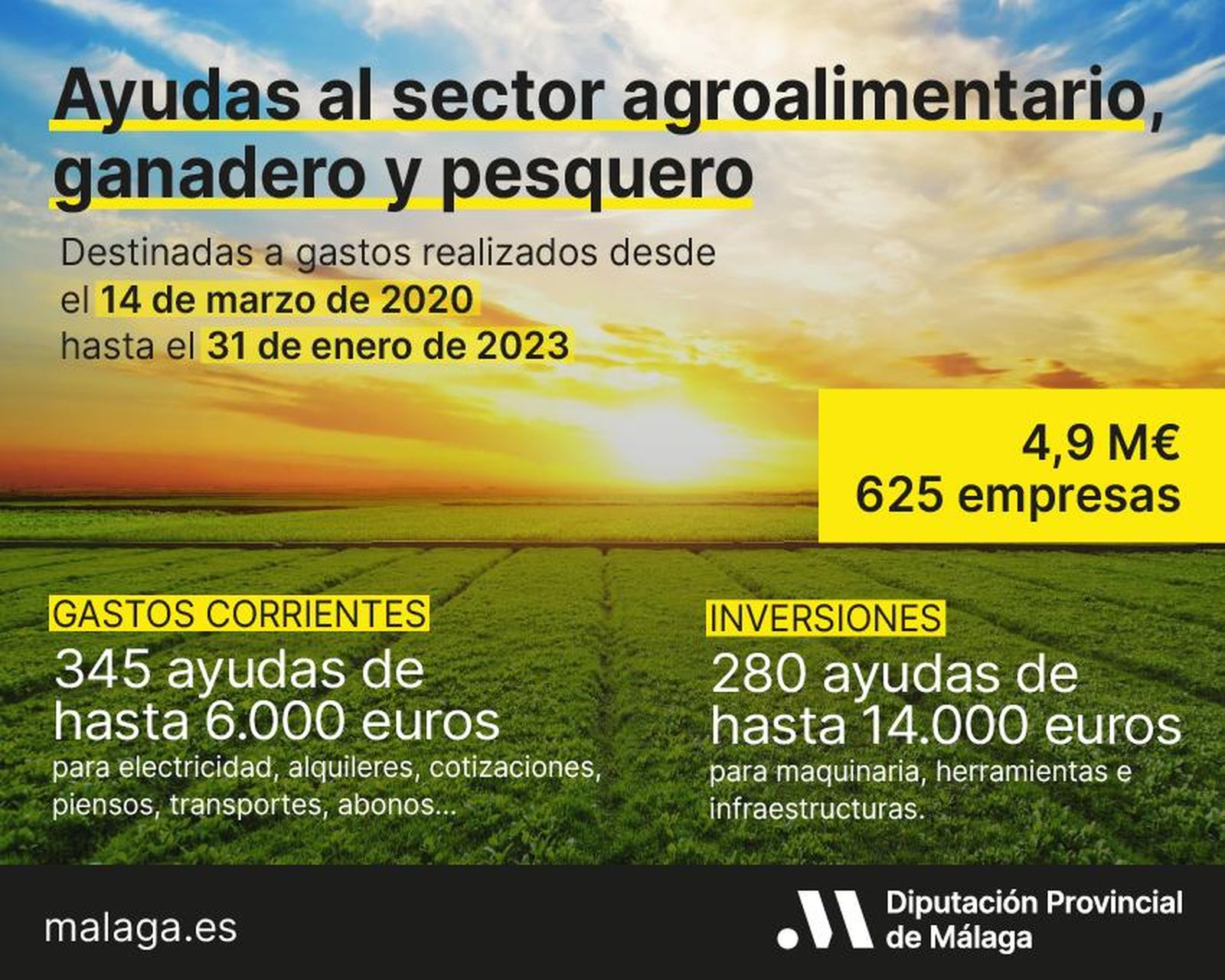 Más de 600 empresas de sector agroalimentario, ganadero y pesquero reciben ayudas de la Diputación de Málaga por 4,9 millones