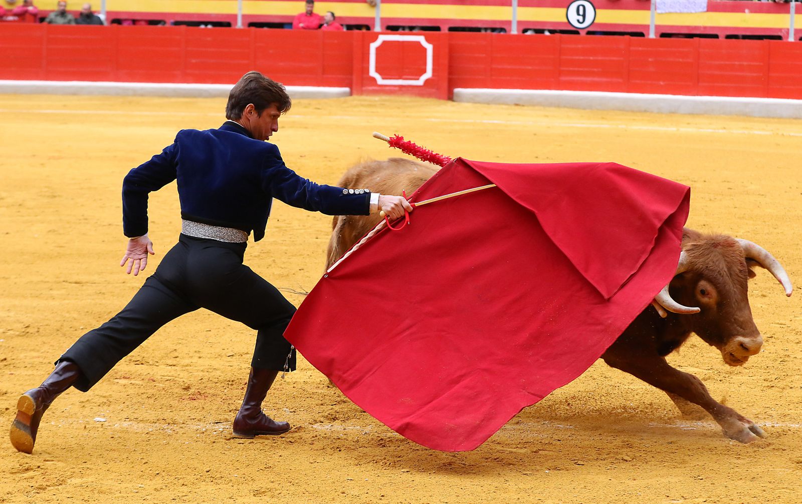 El Festival Taurino Granadown, en imágenes