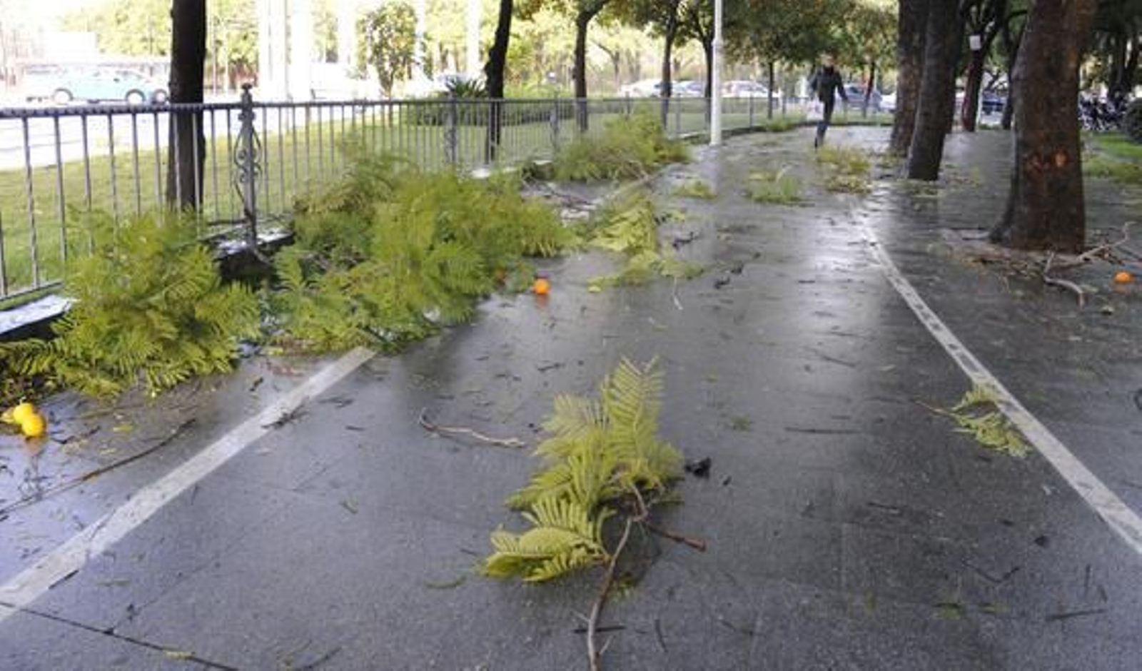 Foto: Juan Carlos Vázquez